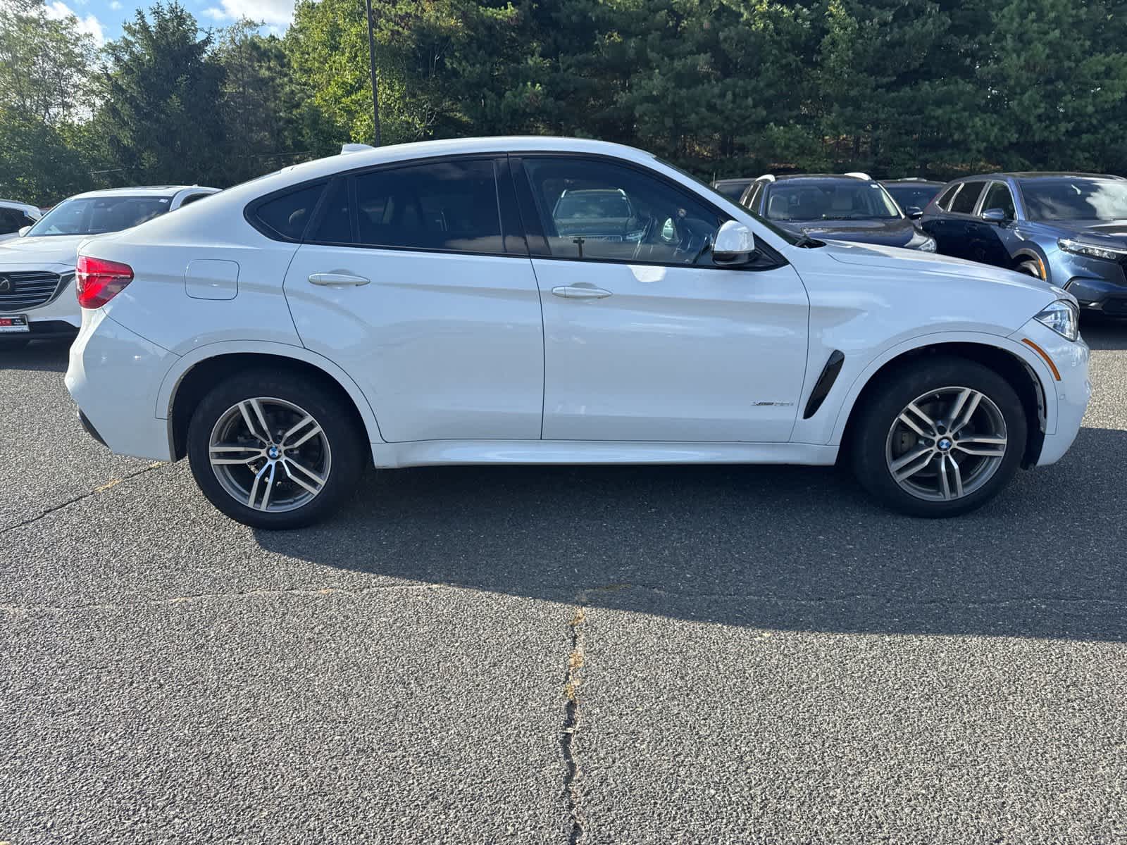 Thumbnail: 2019 BMW X6 - 6