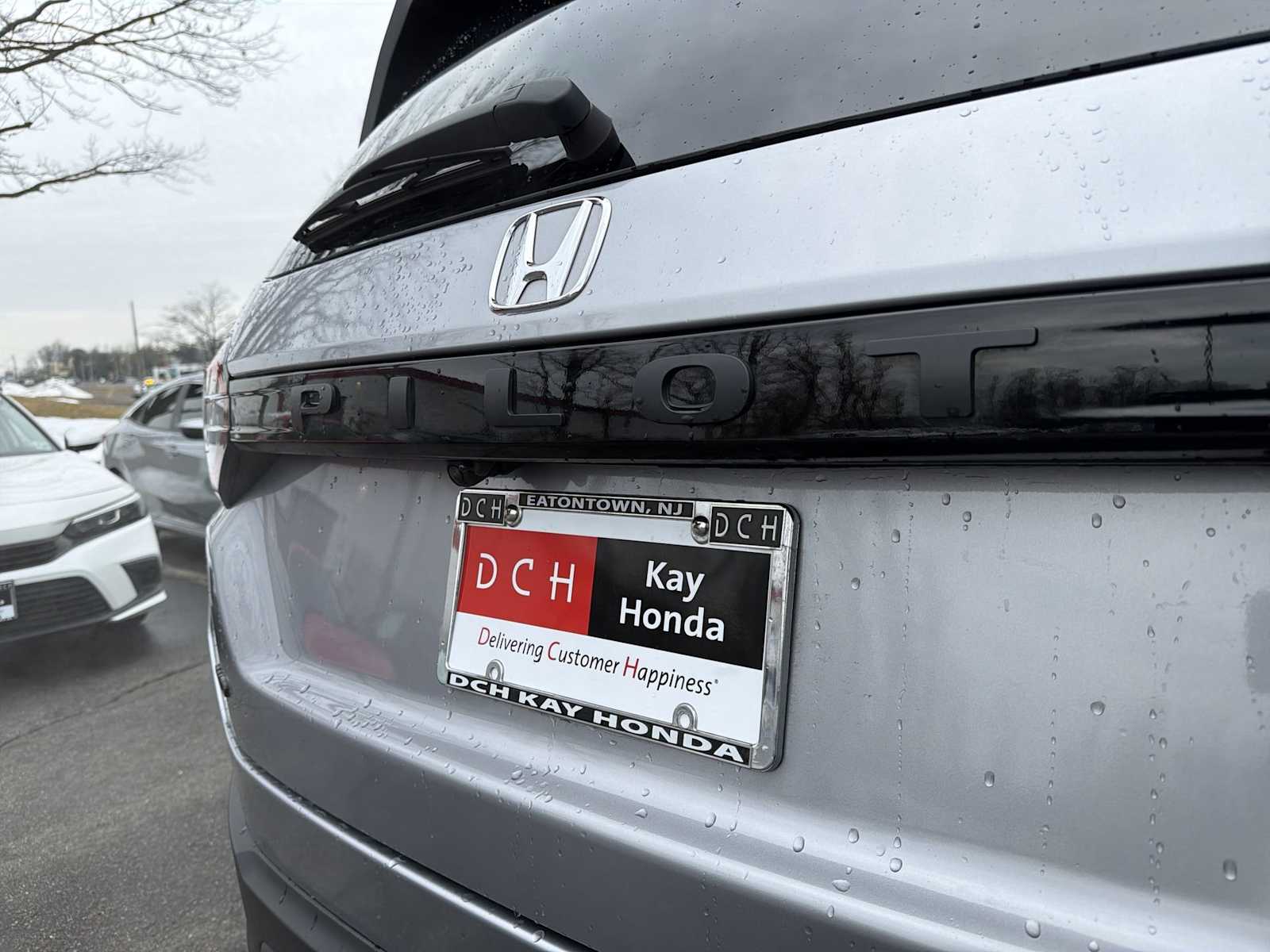 Thumbnail: 2025 Honda Pilot - 18