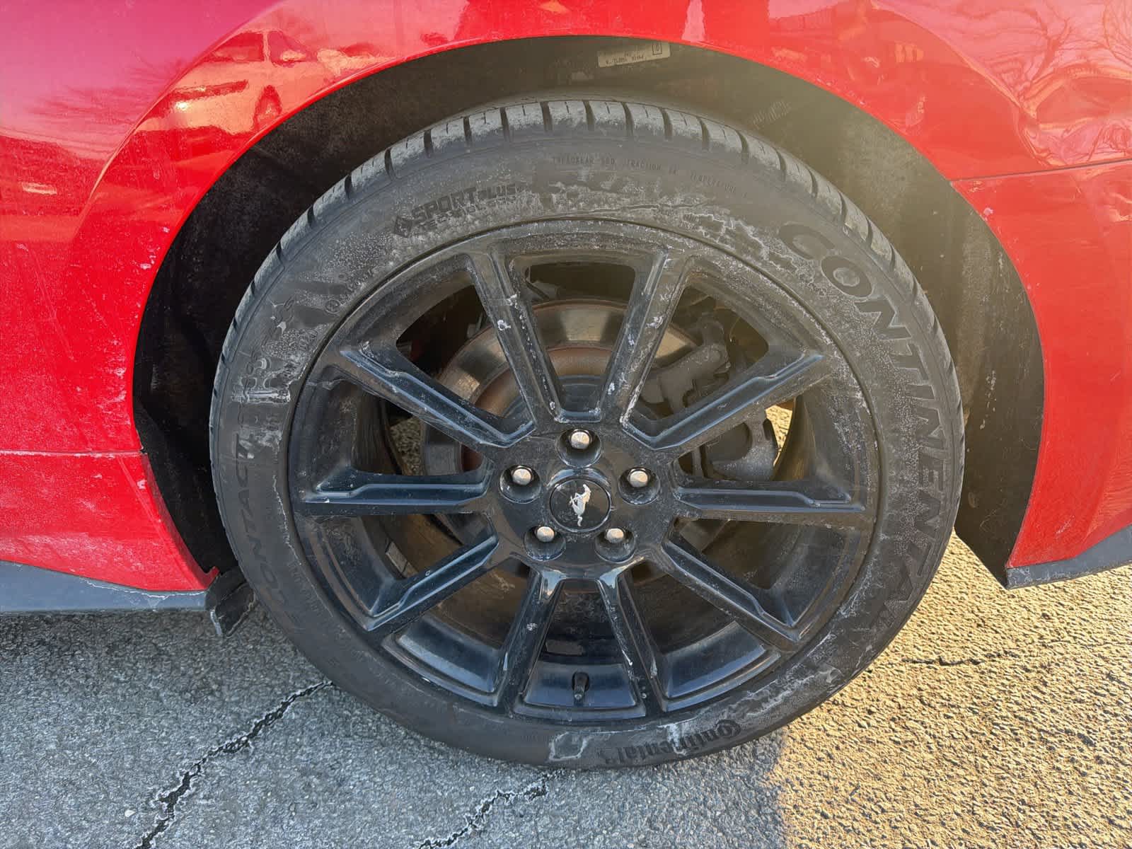 Thumbnail: 2016 Ford Mustang - 19