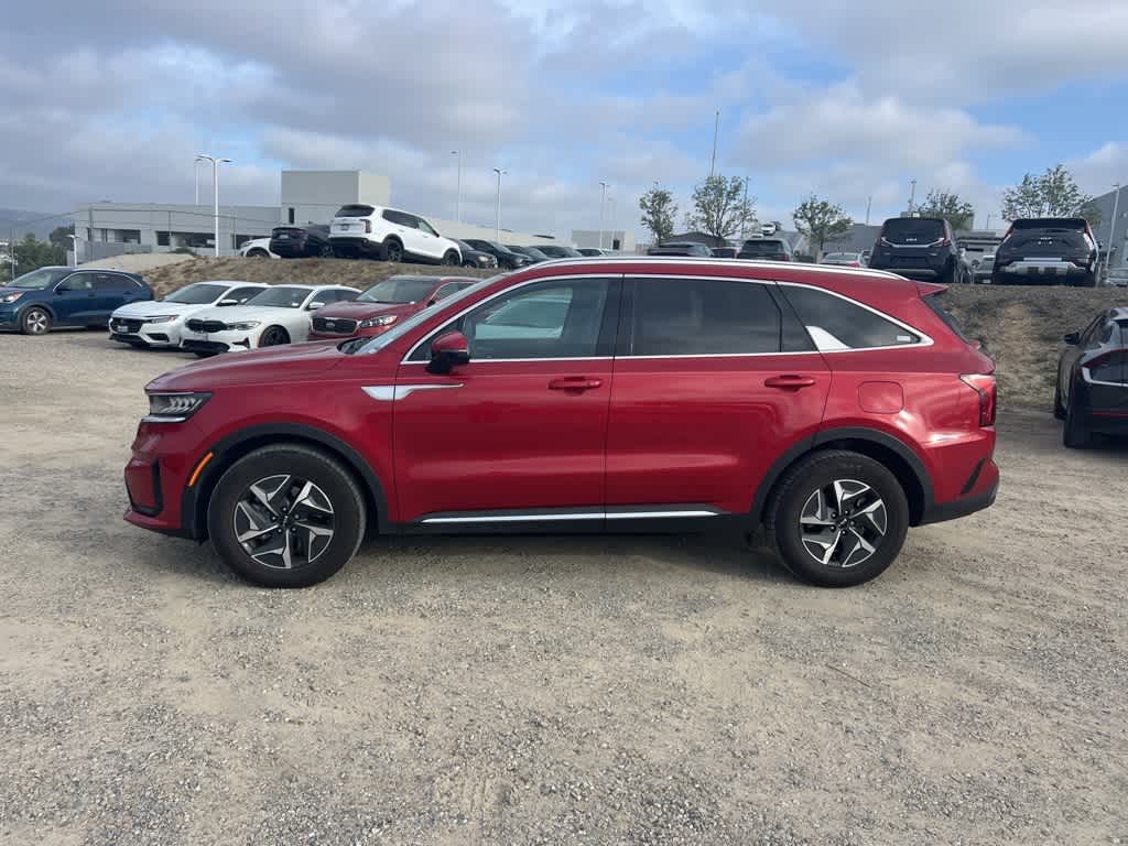 Certified 2023 Kia Sorento EX Hybrid with VIN KNDRH4LG4P5197025 for sale in Temecula, CA