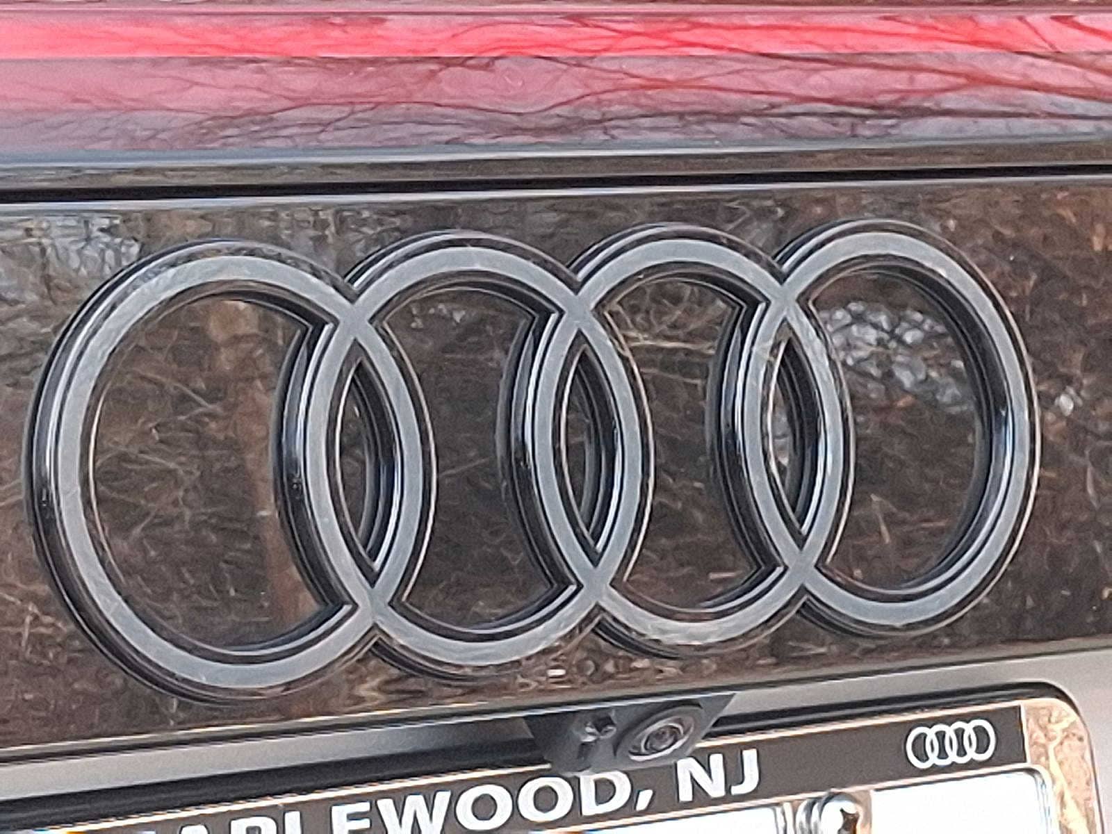 Thumbnail: 2025 Audi Q8 - 17