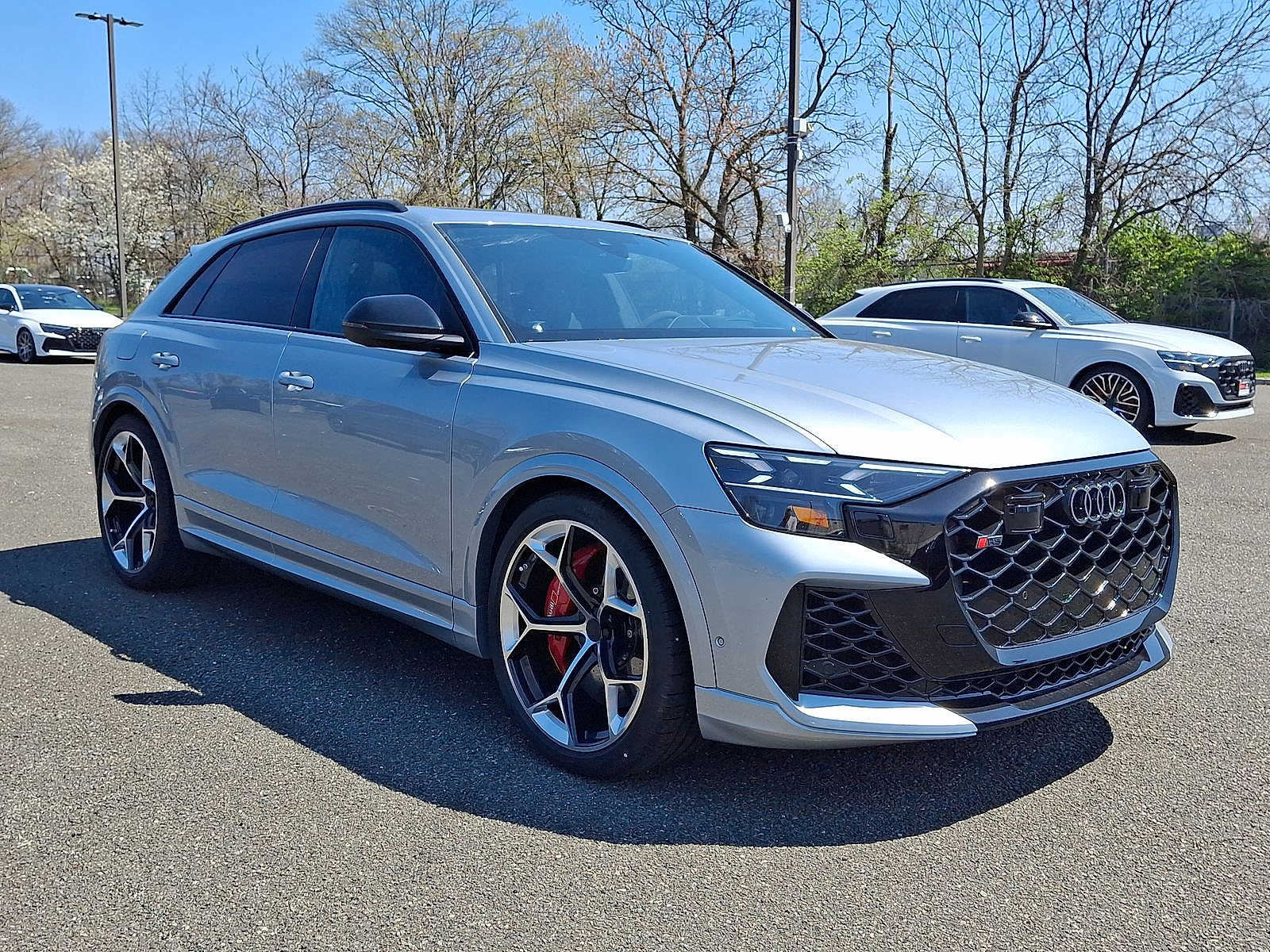 Thumbnail: 2026 Audi RS Q8 - 10
