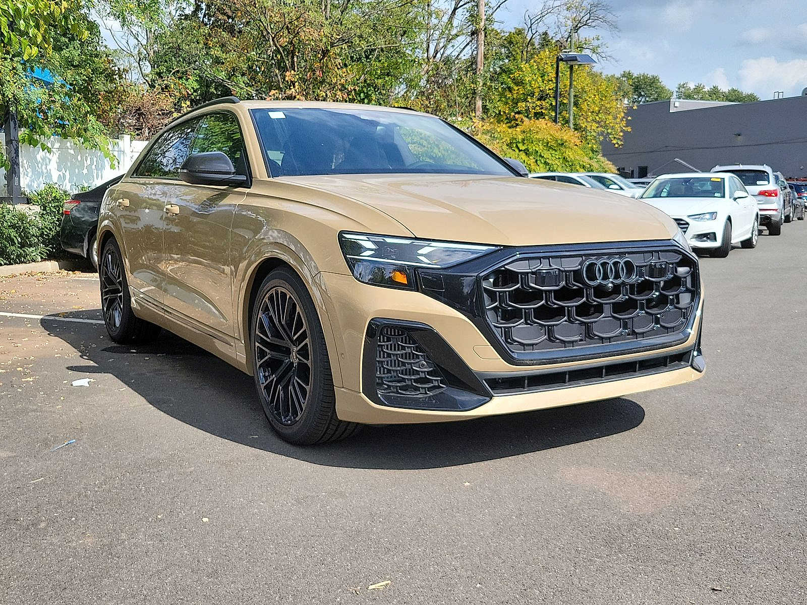 Thumbnail: 2024 Audi SQ8 - 10