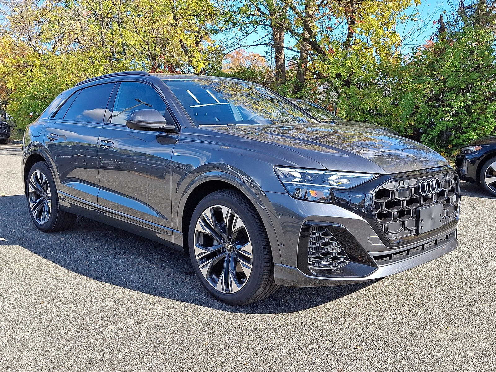 Thumbnail: 2026 Audi Q8 - 10