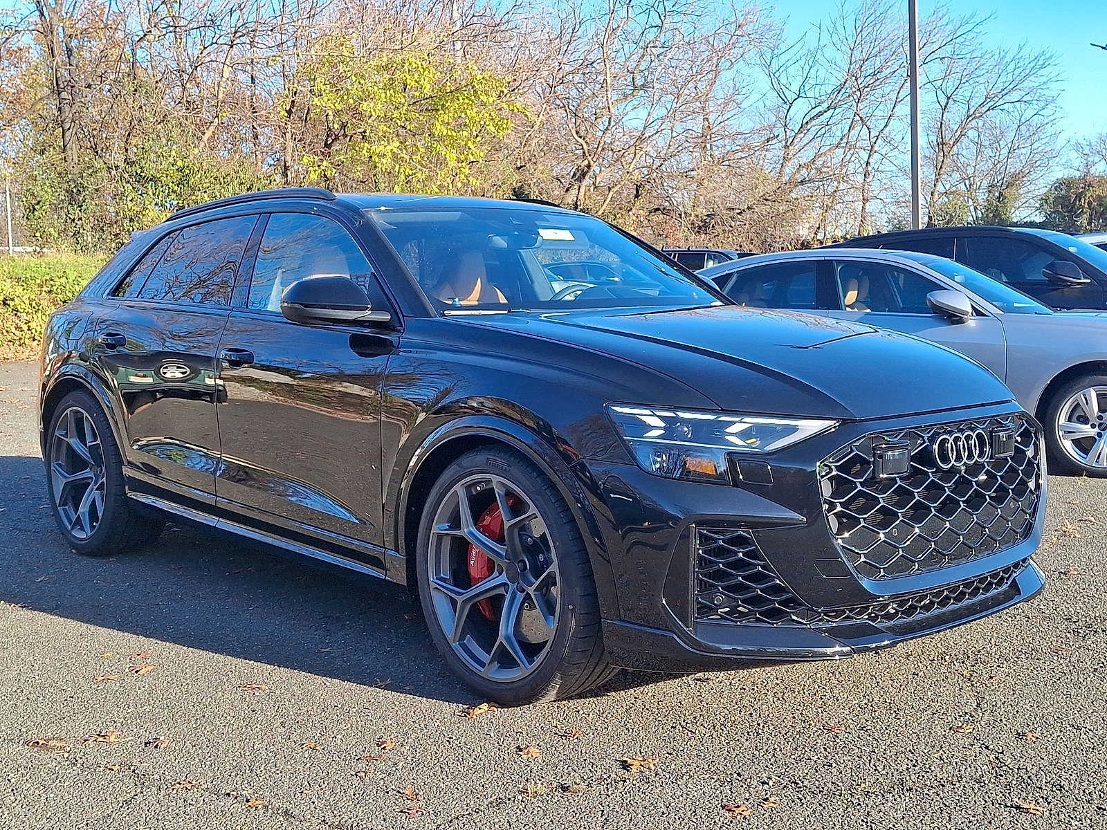 Thumbnail: 2026 Audi RS Q8 - 10