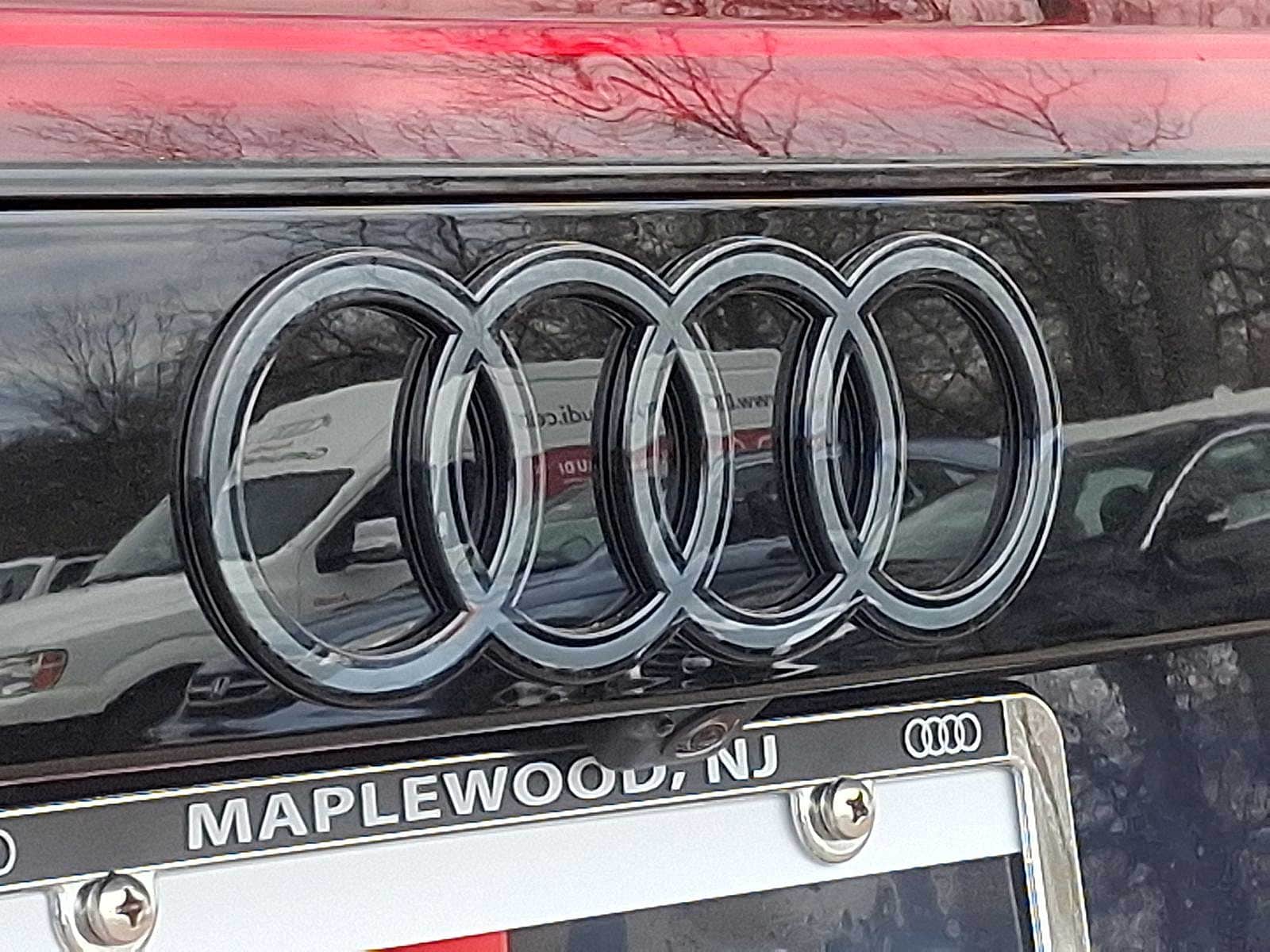 Thumbnail: 2025 Audi Q8 - 18