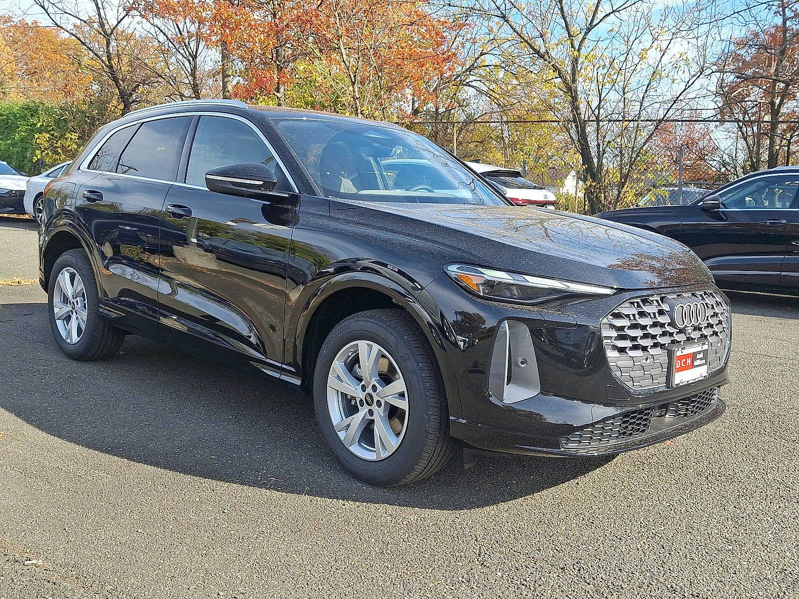 Thumbnail: 2025 Audi Q5 - 10