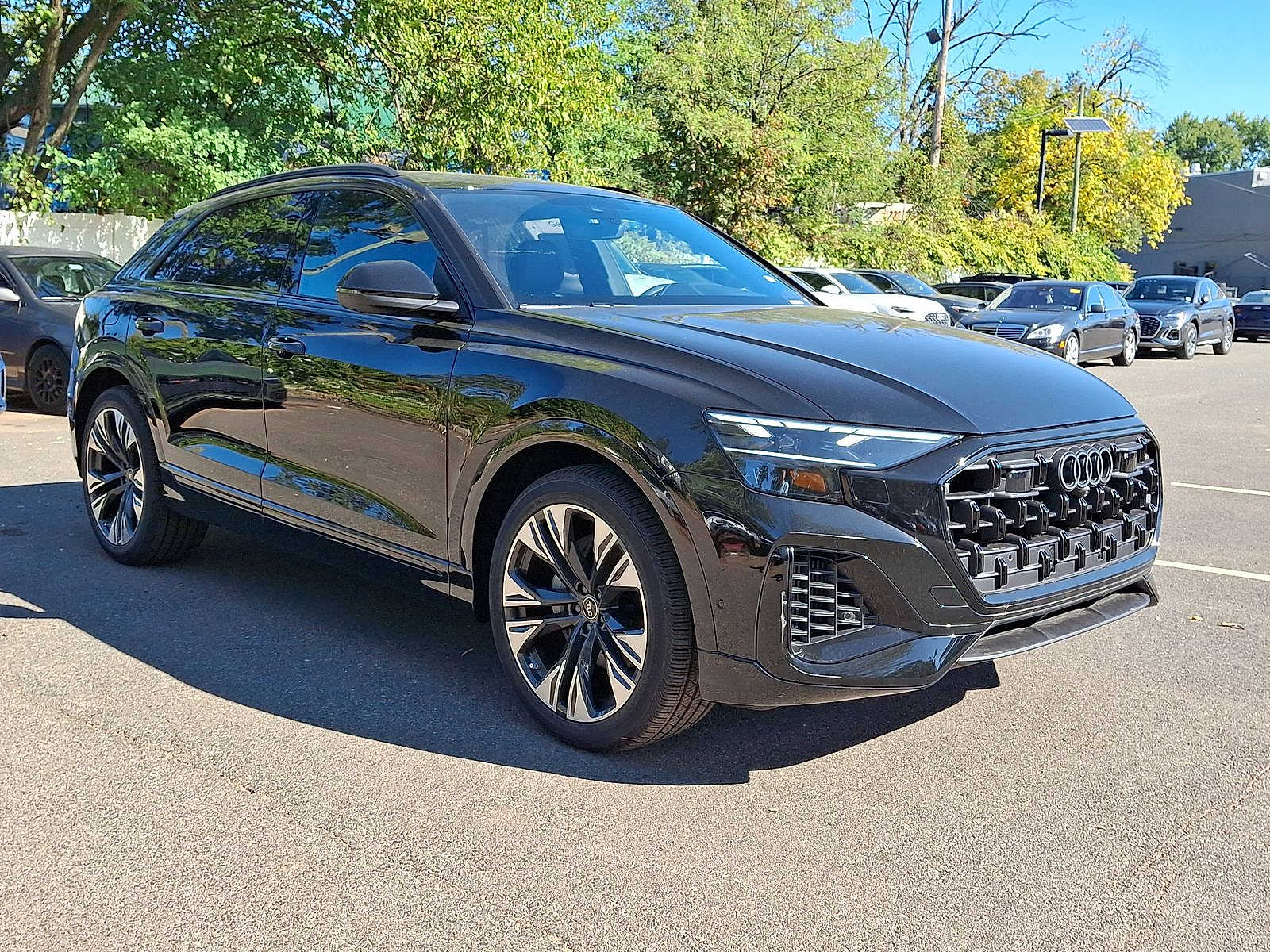 Thumbnail: 2025 Audi Q8 - 10