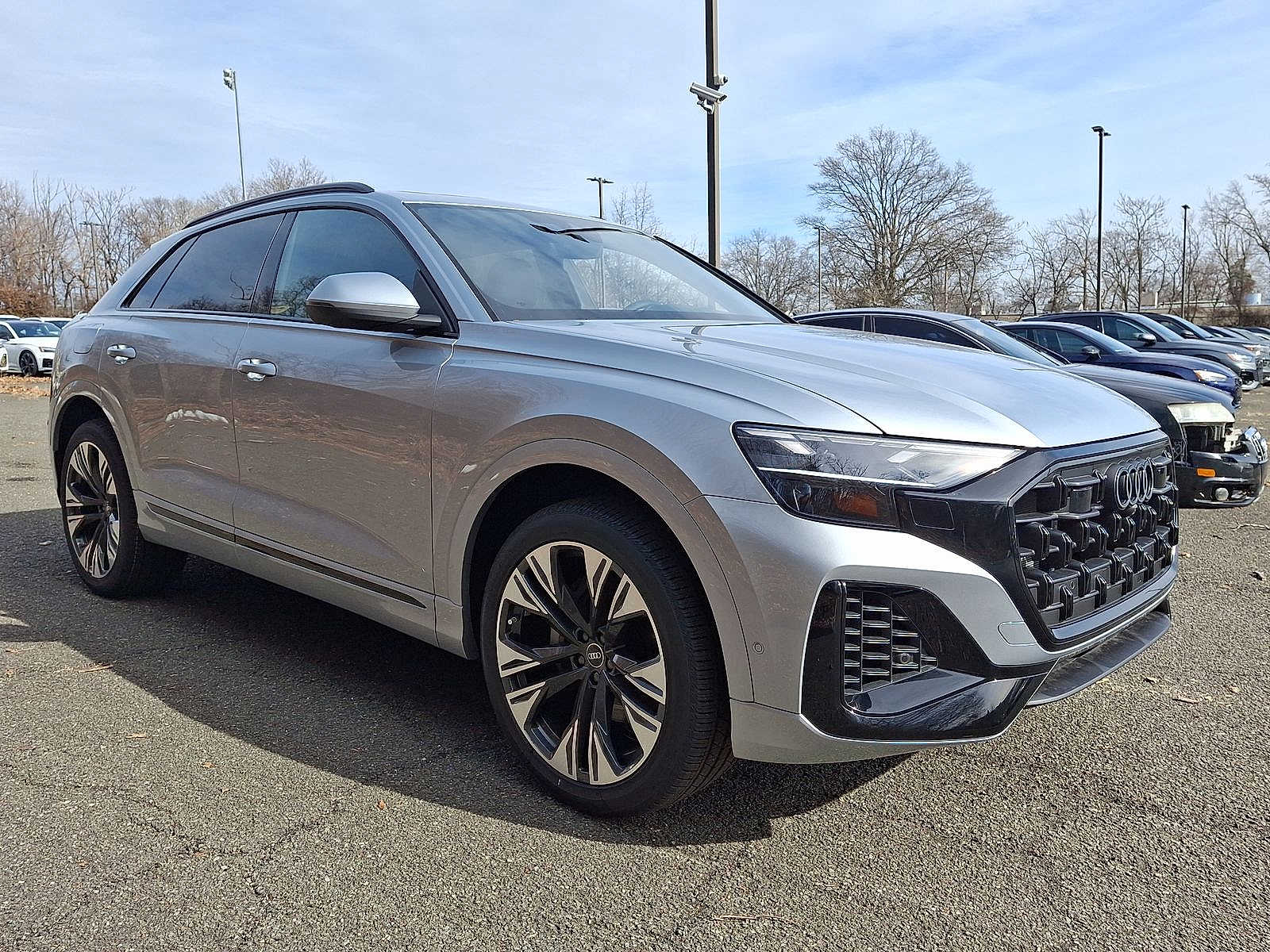 Thumbnail: 2025 Audi Q8 - 10