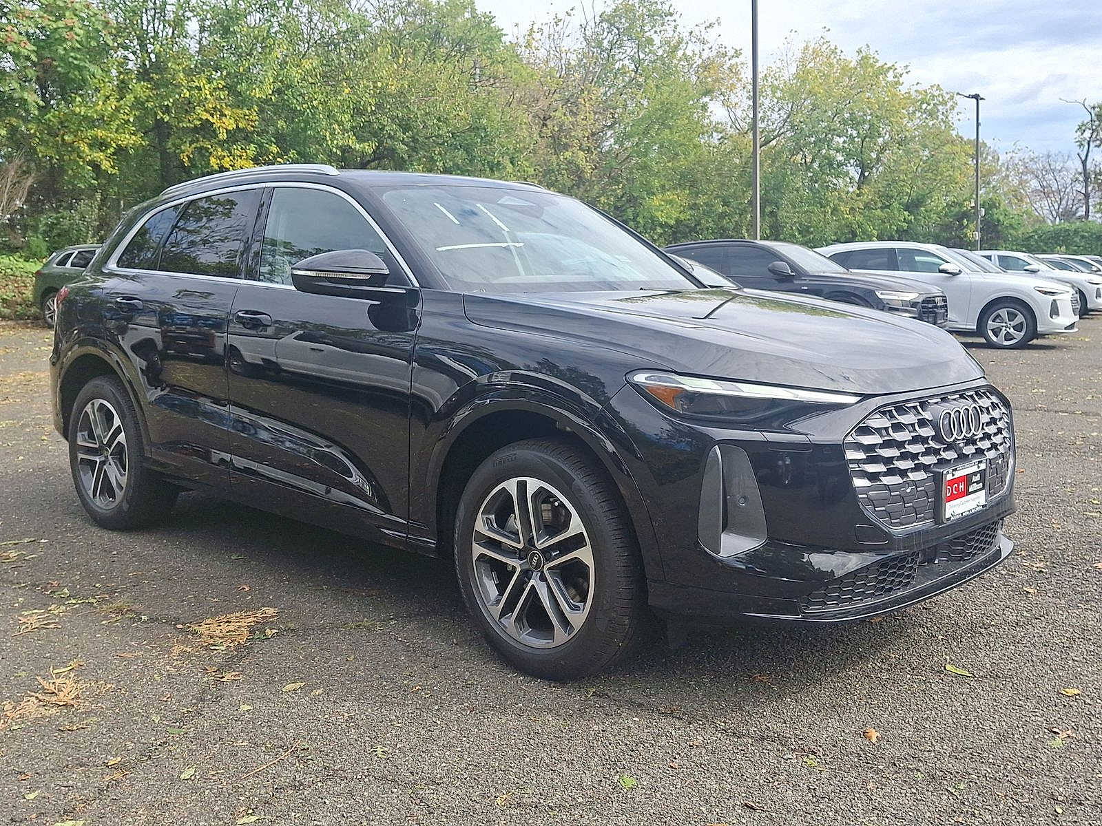 Thumbnail: 2025 Audi Q5 - 10