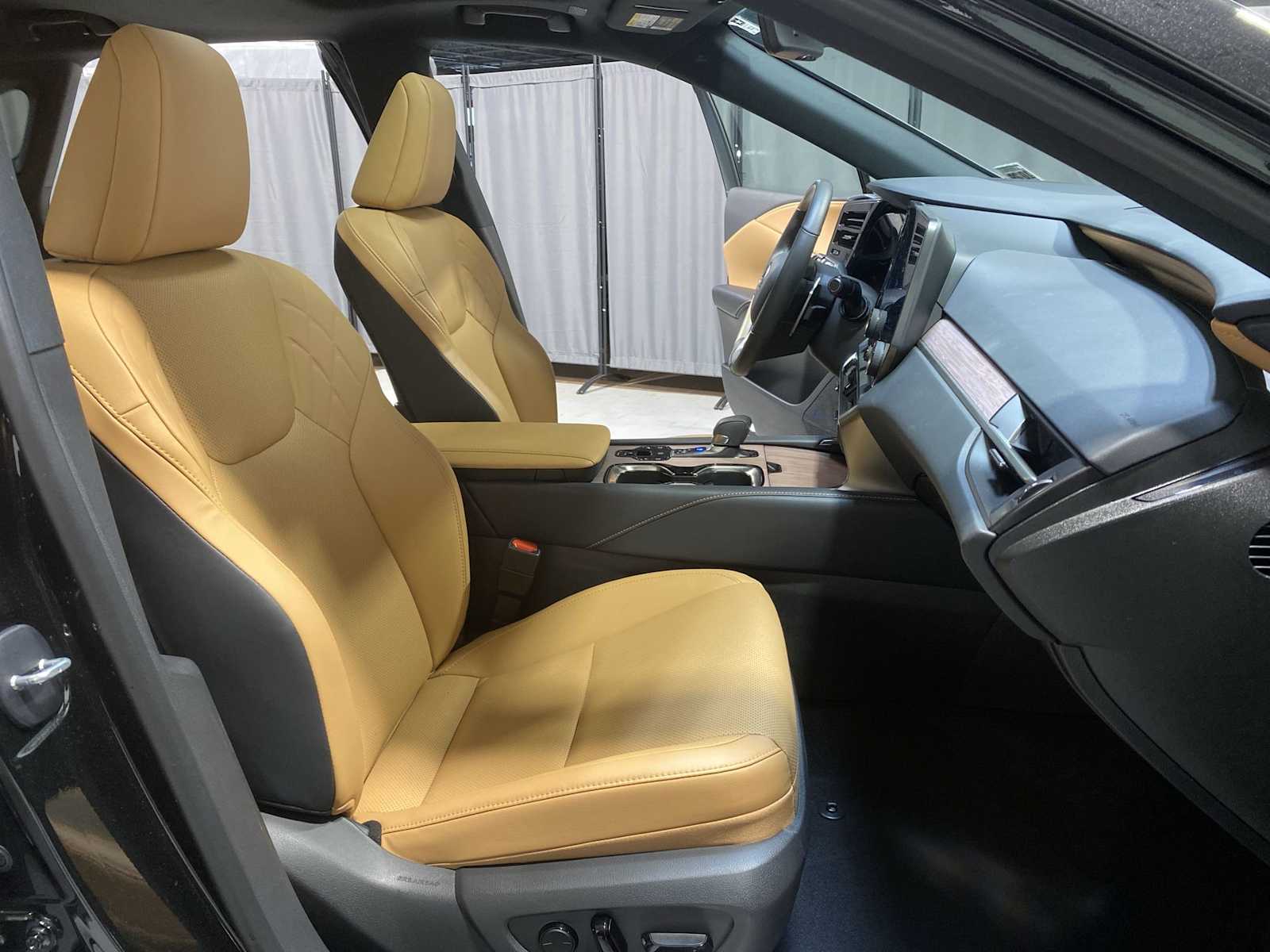 Thumbnail: 2024 Lexus RX - 14