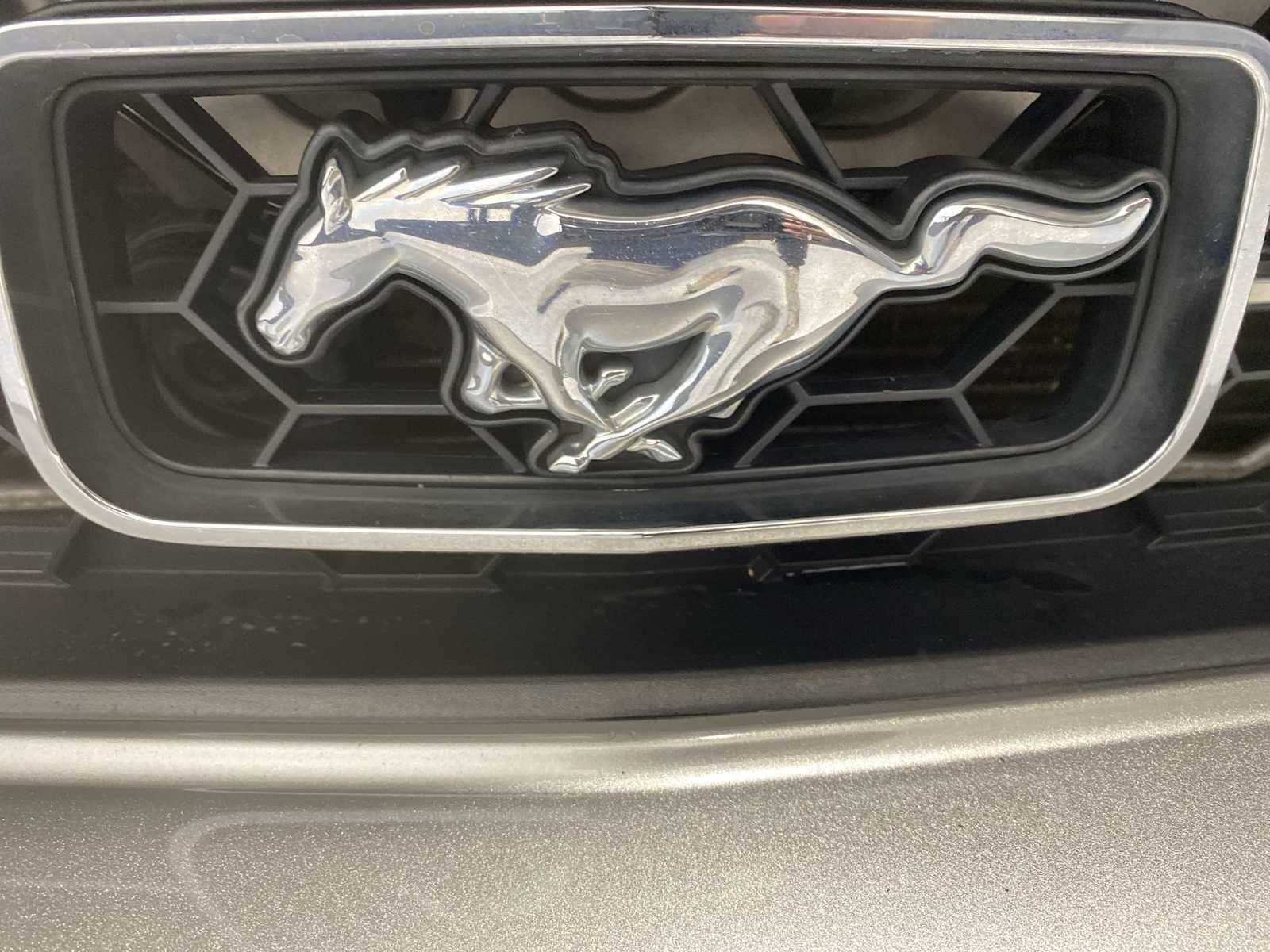 Thumbnail: 2008 Ford Mustang - 7