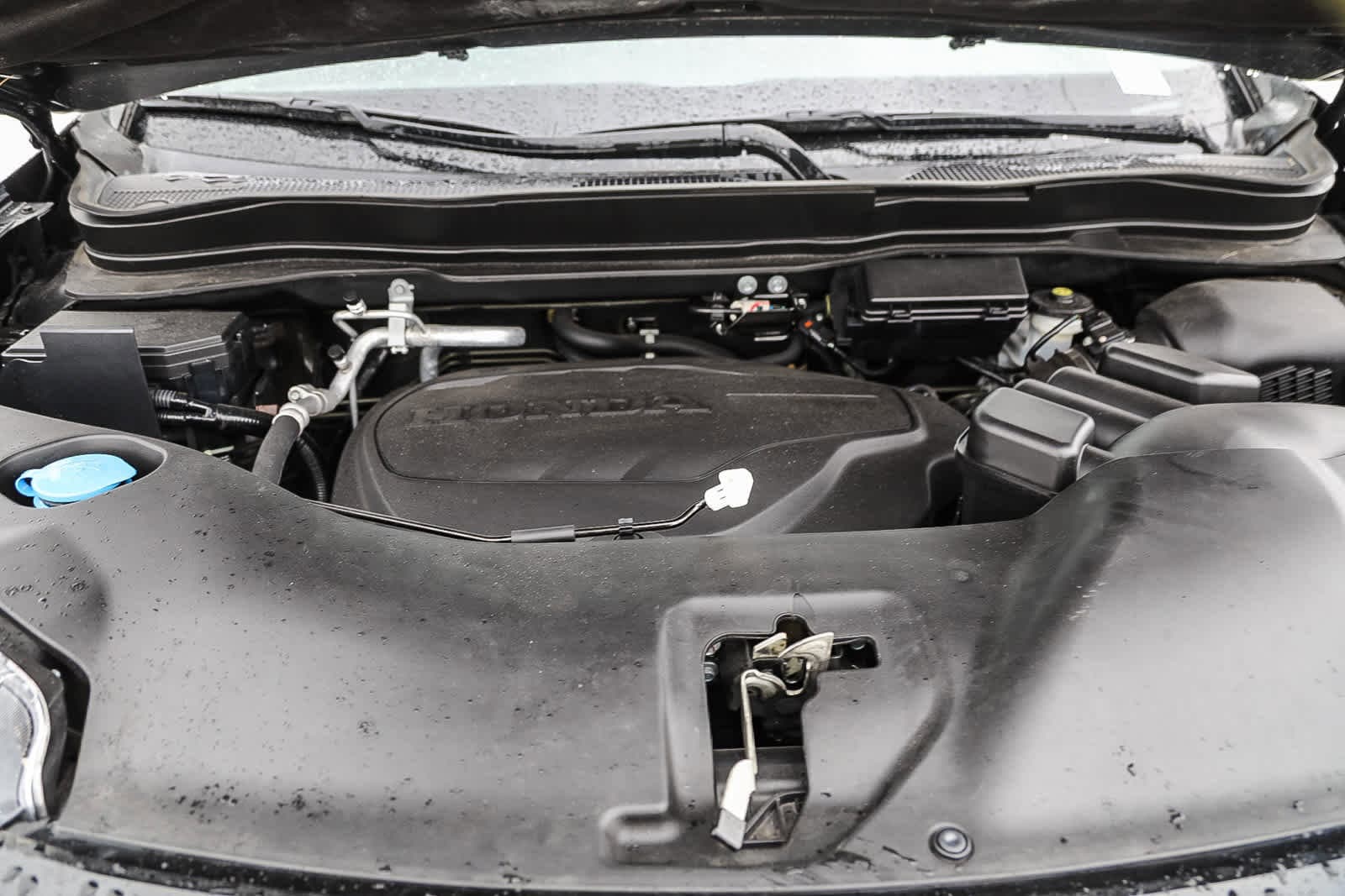 Thumbnail: 2021 Honda Passport - 26