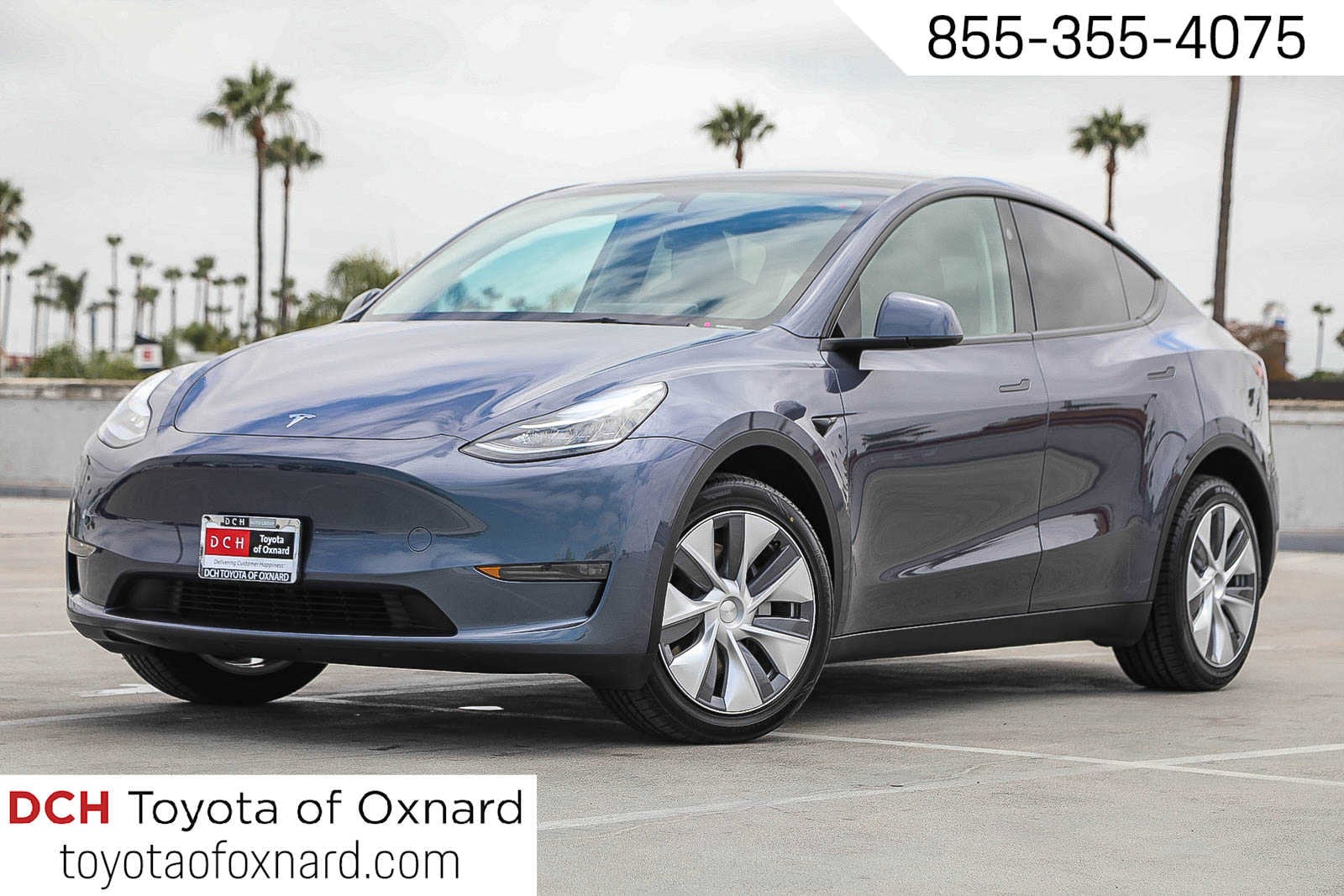 2023 Tesla Model Y Long Range Dual Motor All-Wheel Drive's photo