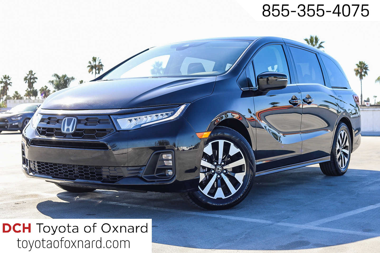 2025 Honda Odyssey EX-L — photo 1 of 23