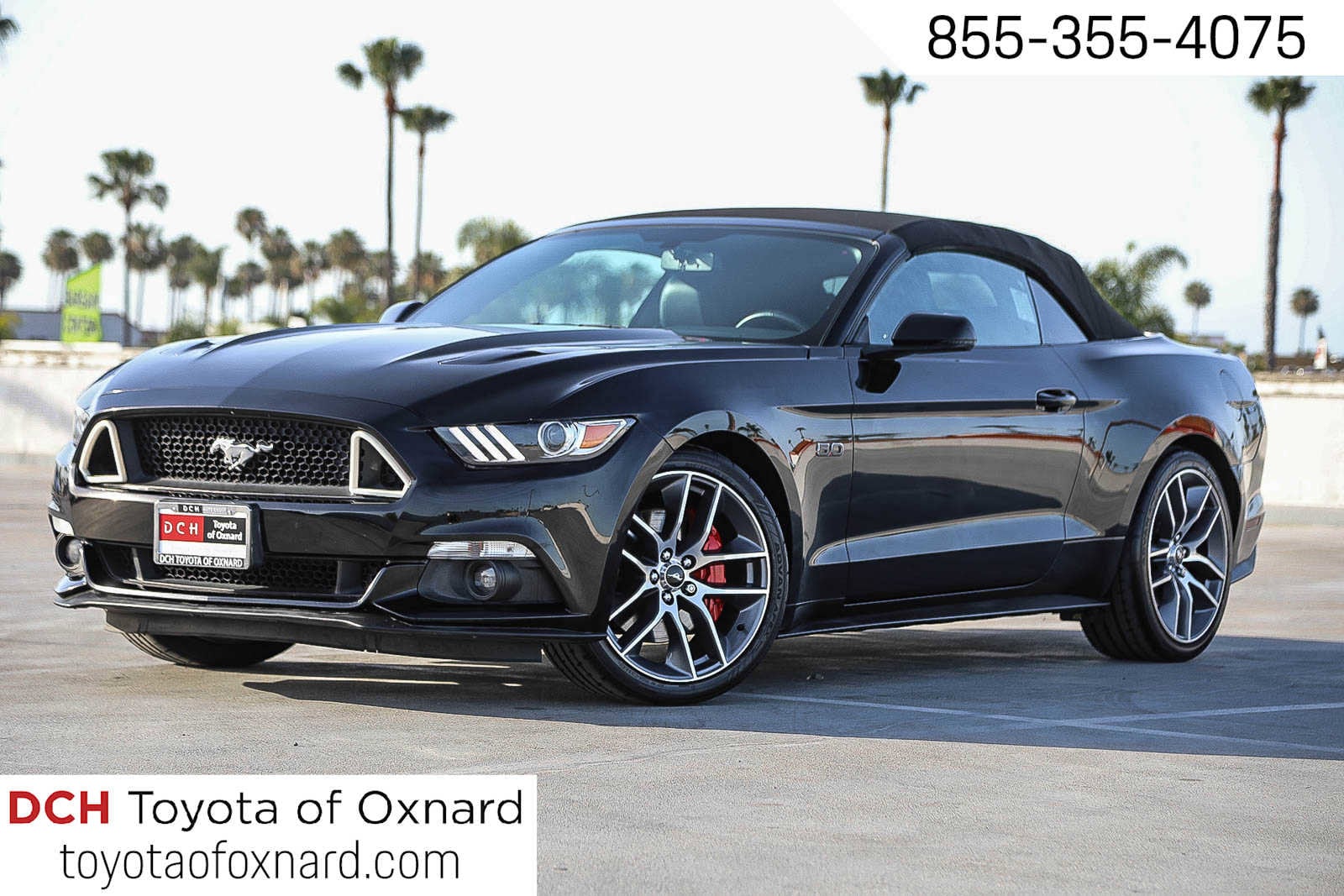 2015 Ford Mustang GT Convertible Premium's photo