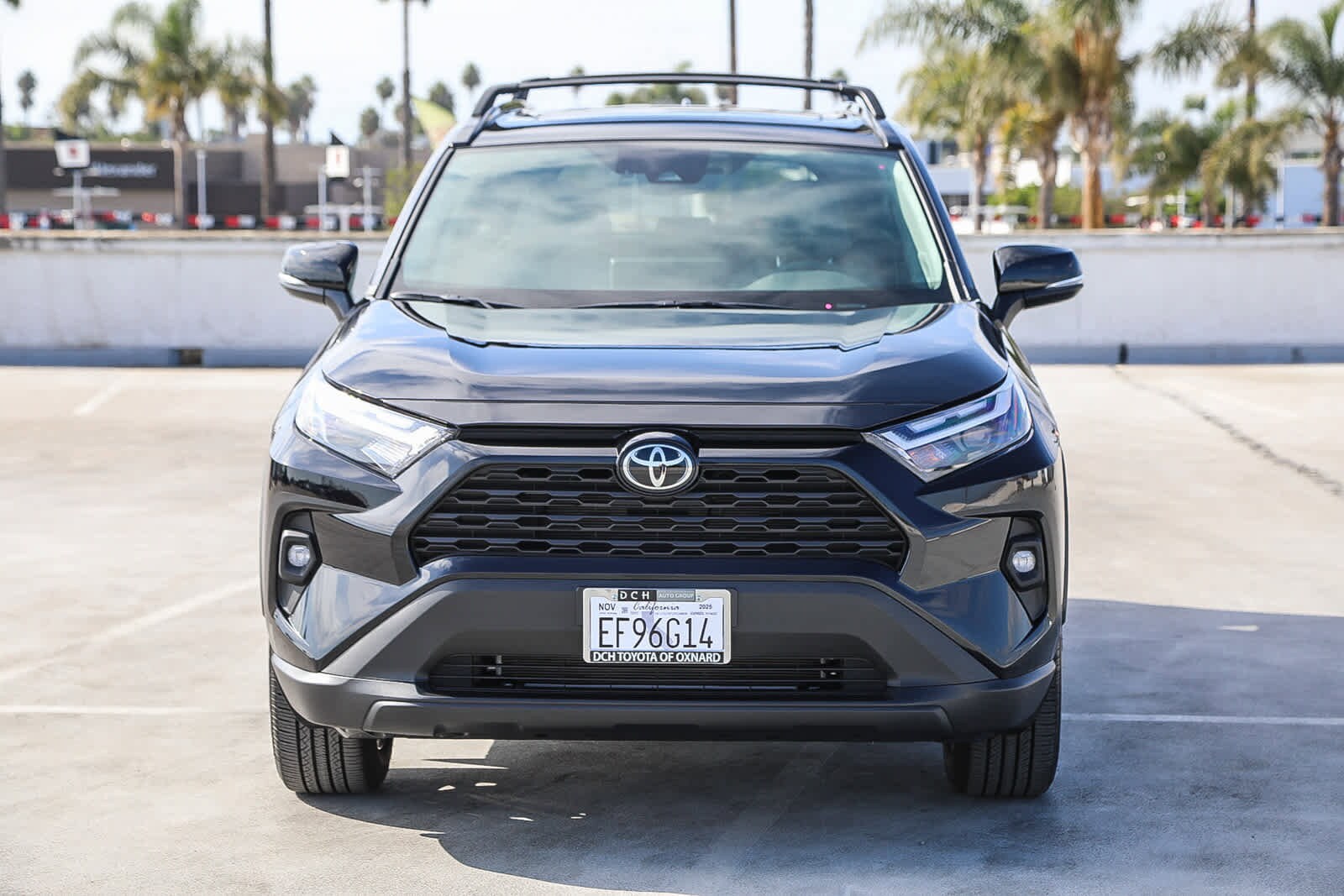 2025 Toyota RAV4 XLE Premium photo 2