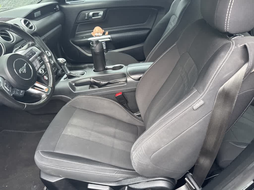 Thumbnail: 2019 Ford Mustang - 11
