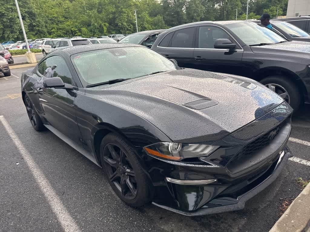 Thumbnail: 2019 Ford Mustang - 5