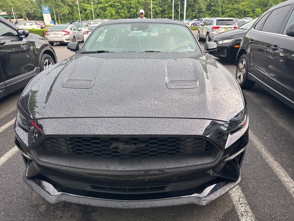 Thumbnail: 2019 Ford Mustang - 4