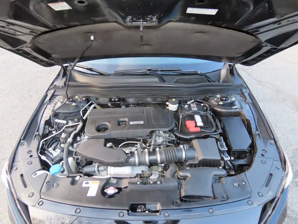 Thumbnail: 2019 Honda Accord - 10