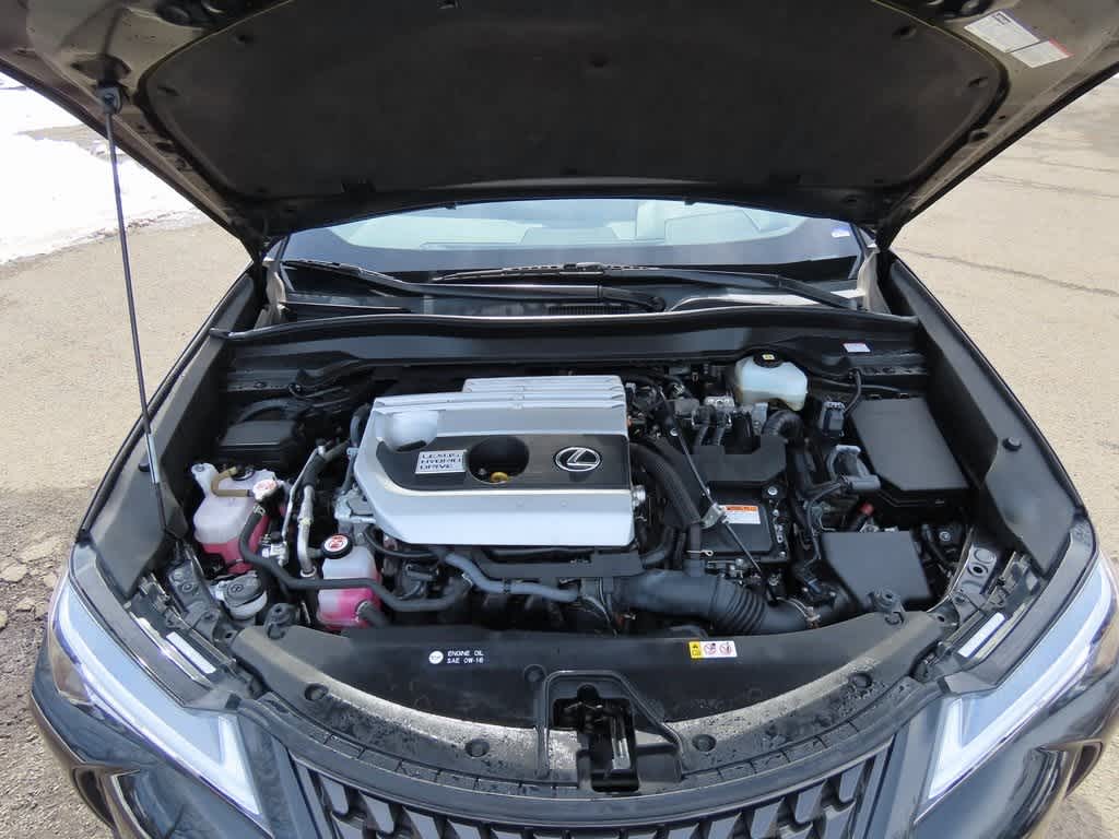 Thumbnail: 2022 Lexus UX - 9