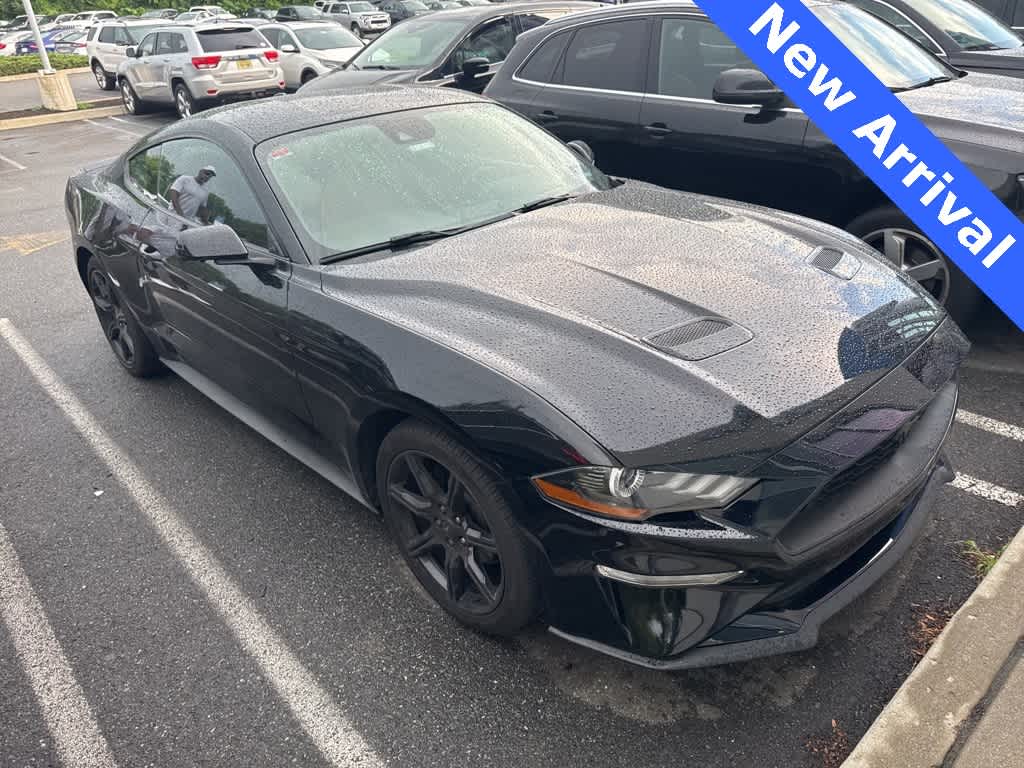Thumbnail: 2019 Ford Mustang - 1