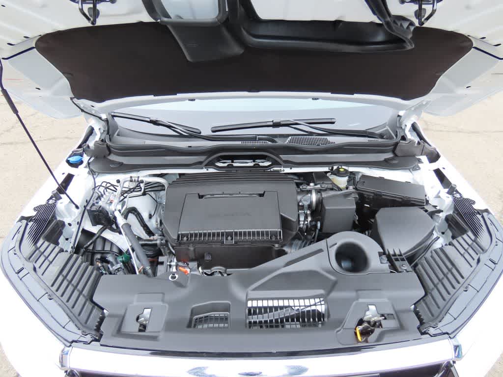 Thumbnail: 2026 Honda Pilot - 11