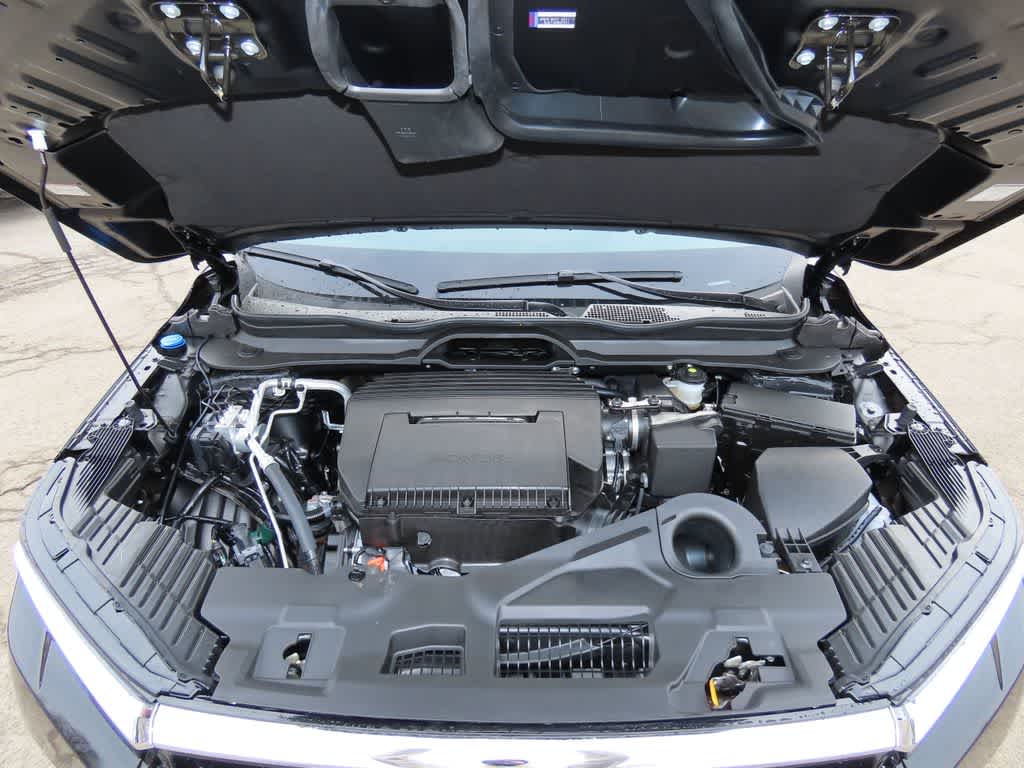 Thumbnail: 2026 Honda Pilot - 11