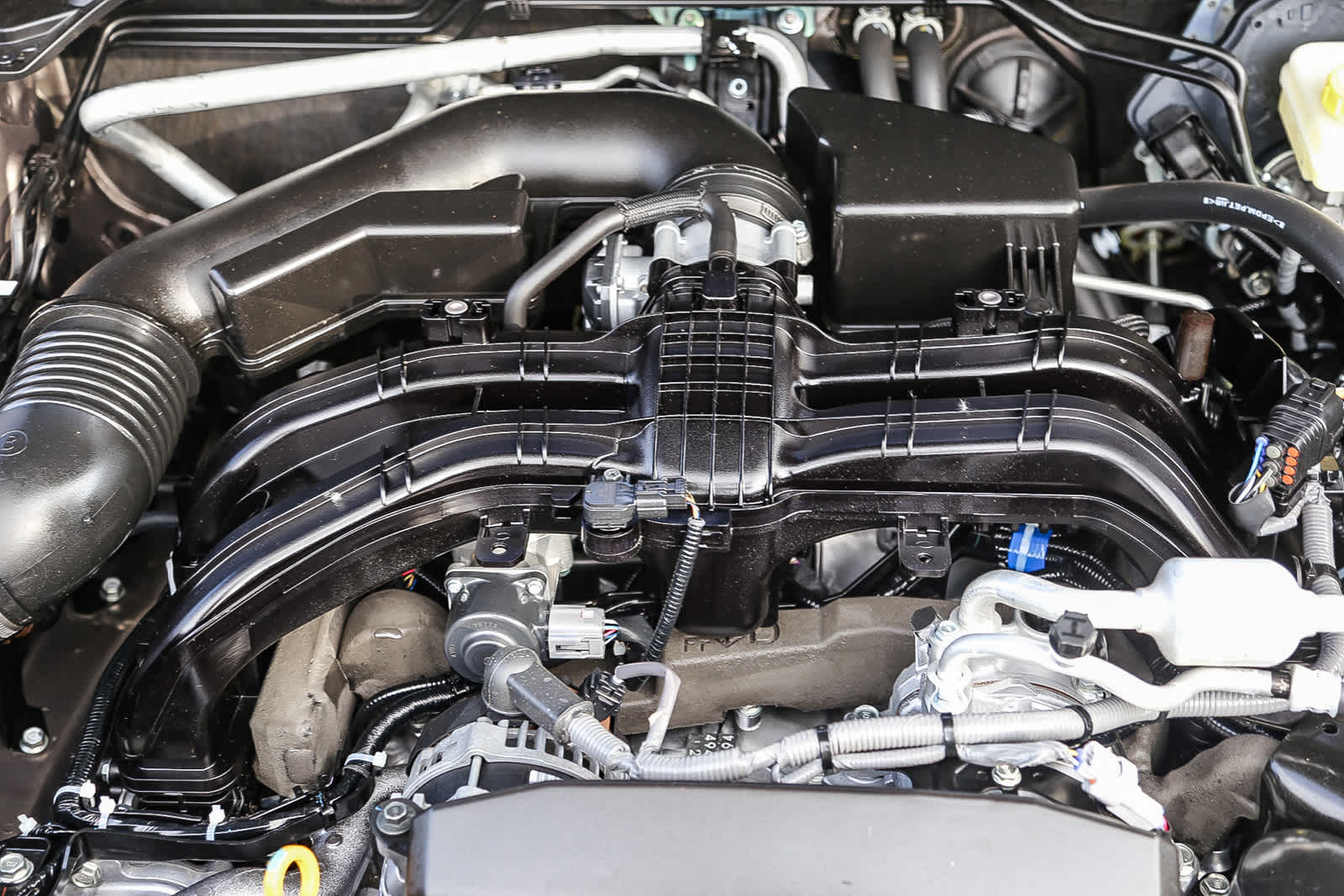 Thumbnail: 2025 Subaru Forester - 13