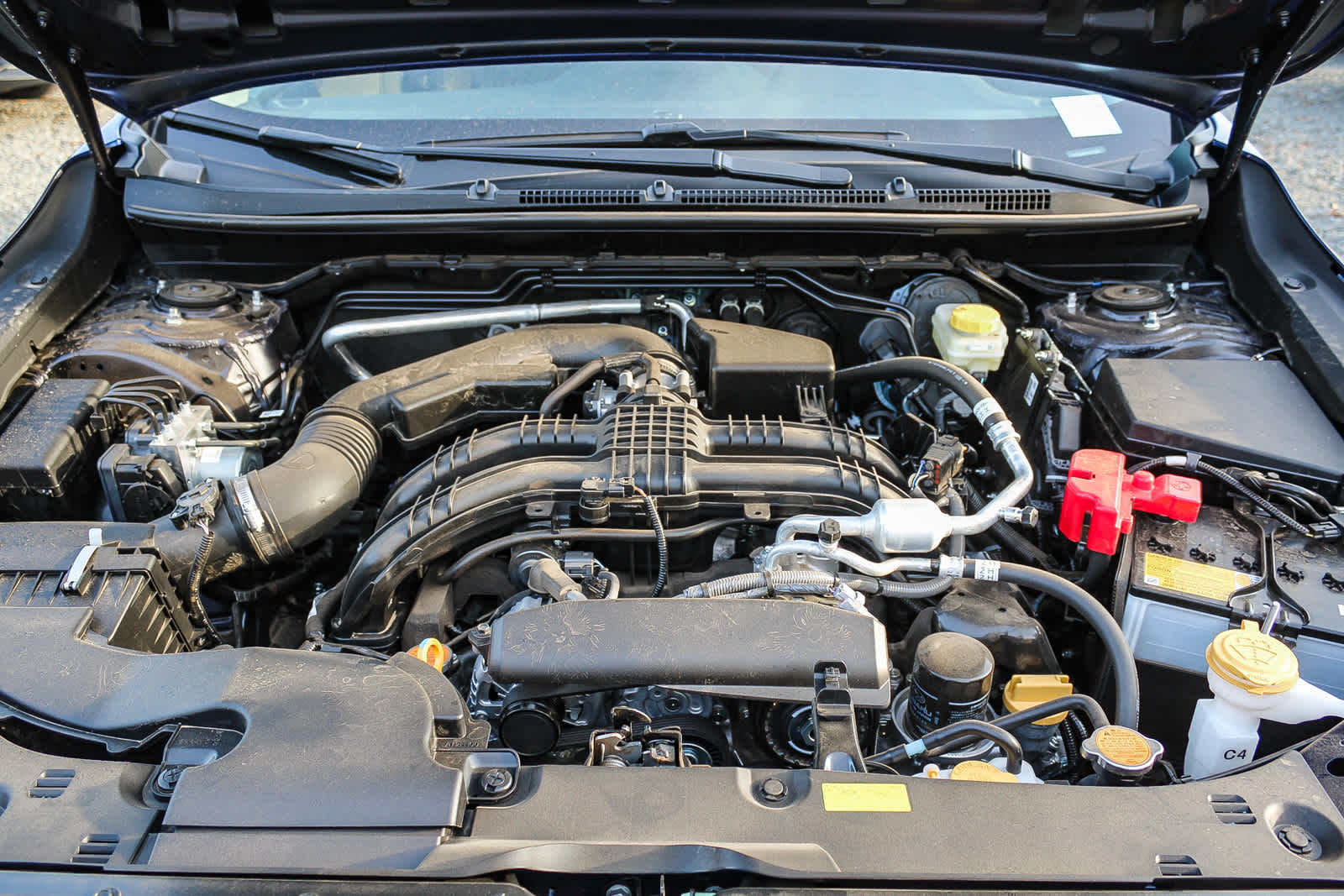 Thumbnail: 2025 Subaru Crosstrek - 11