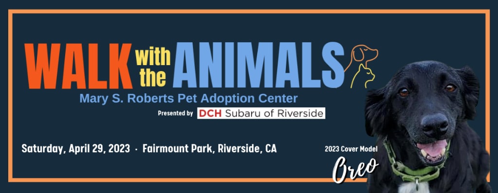 dogDCHSubaruRiverside_2023apr.png
