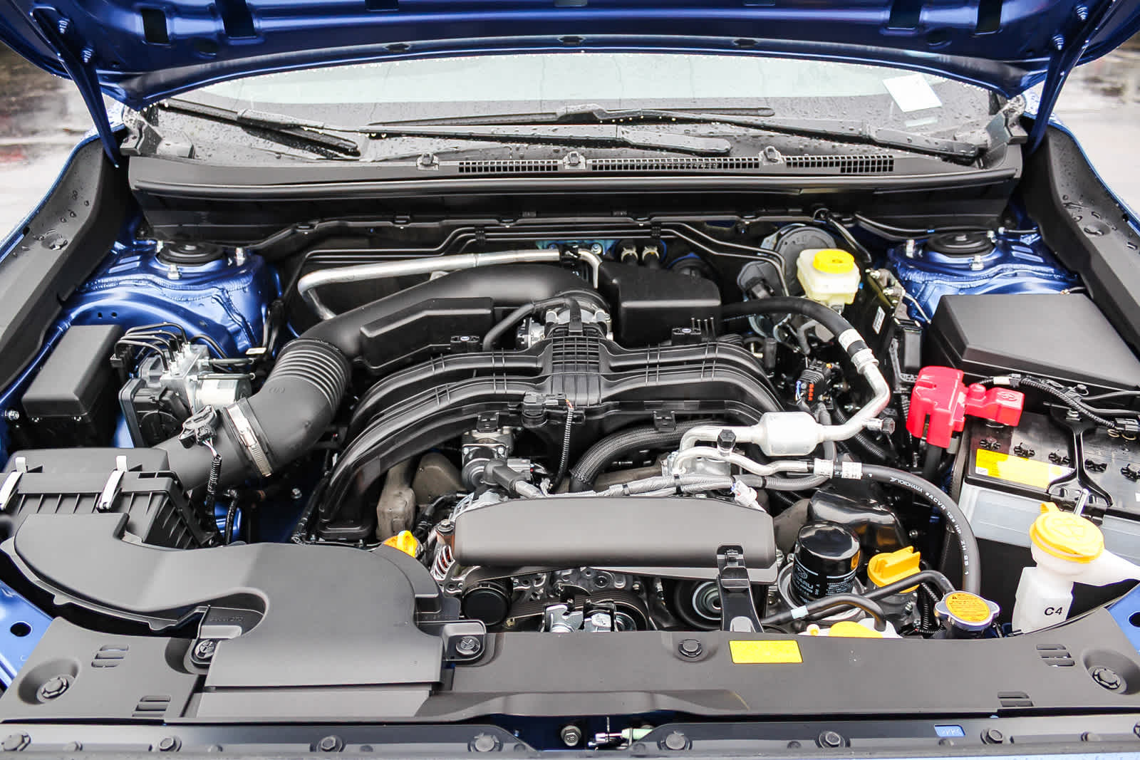 Thumbnail: 2025 Subaru Crosstrek - 12