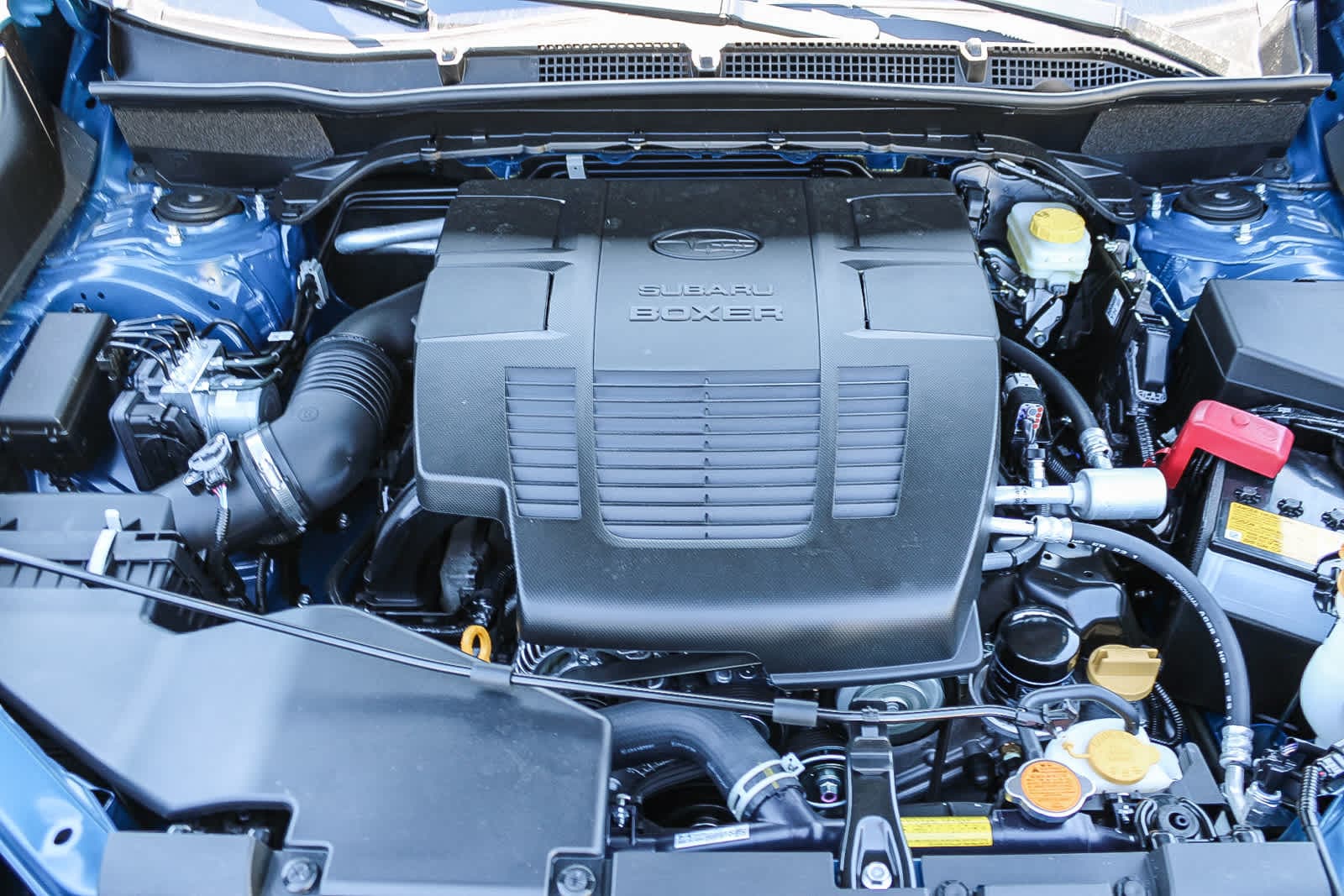 Thumbnail: 2025 Subaru Forester - 12