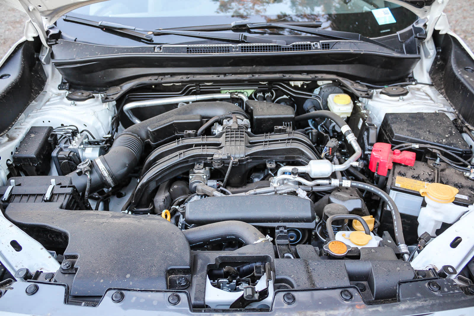 Thumbnail: 2025 Subaru Forester - 10