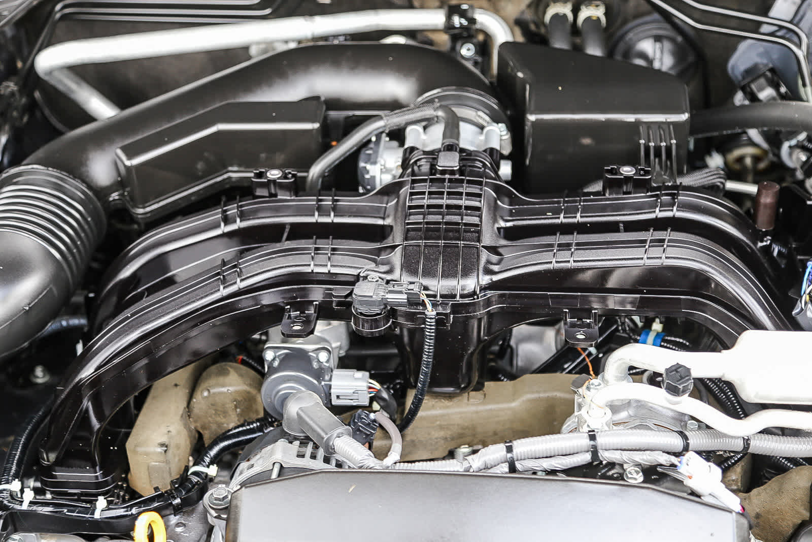 Thumbnail: 2025 Subaru Forester - 24