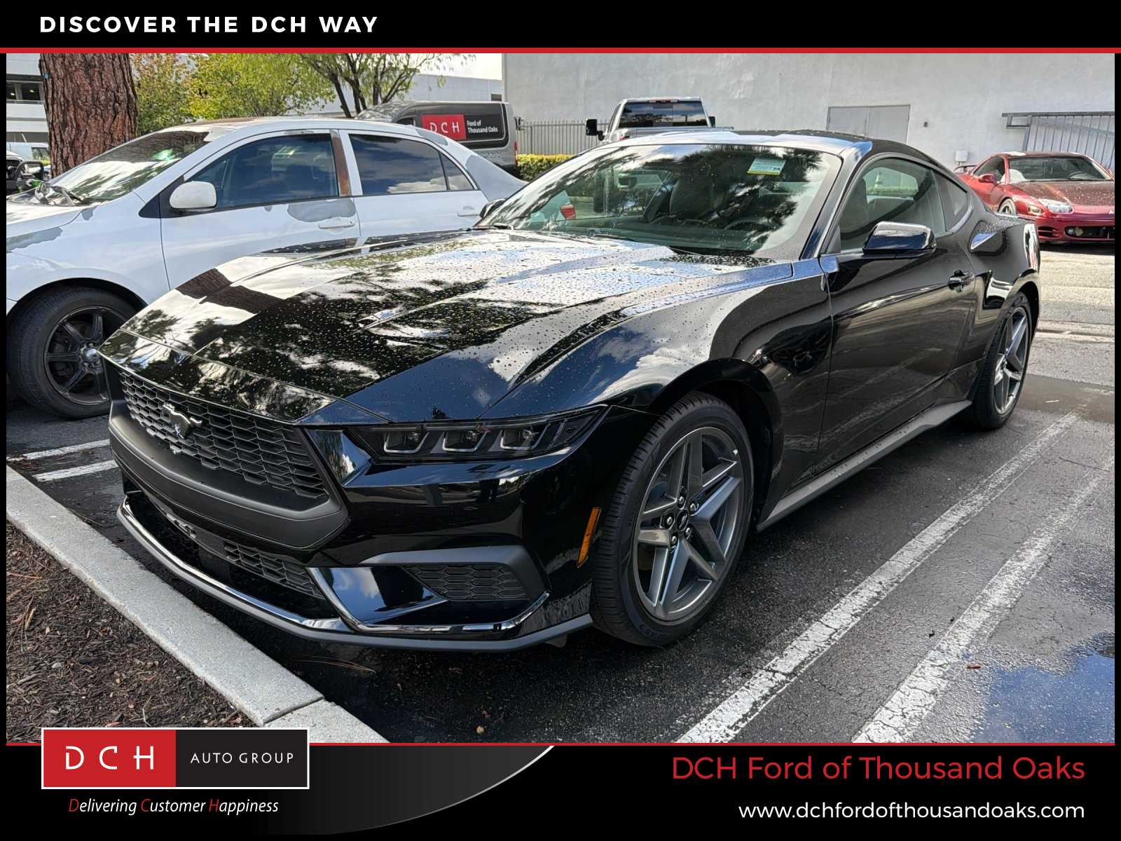 2026 Ford Mustang