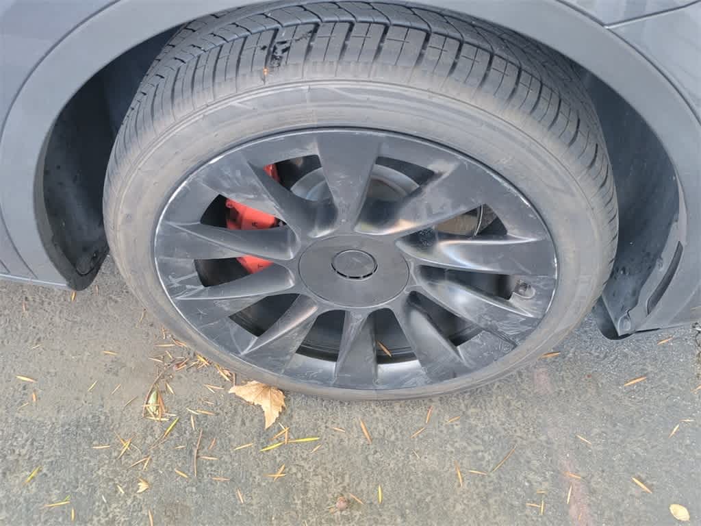 Thumbnail: 2023 Tesla Model Y - 7