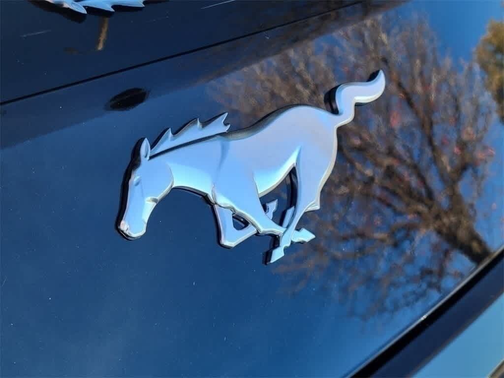 New 2026 Ford Mustang Ecoboost Fastback Coupe