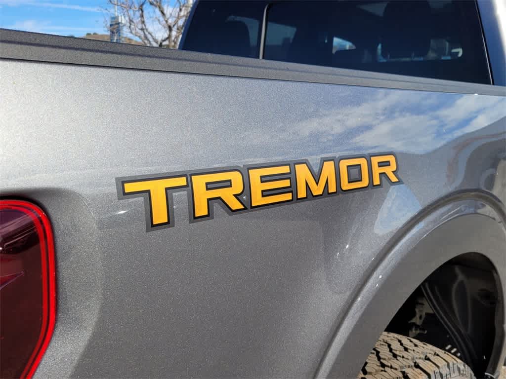 2025 Ford F-150 Tremor 6