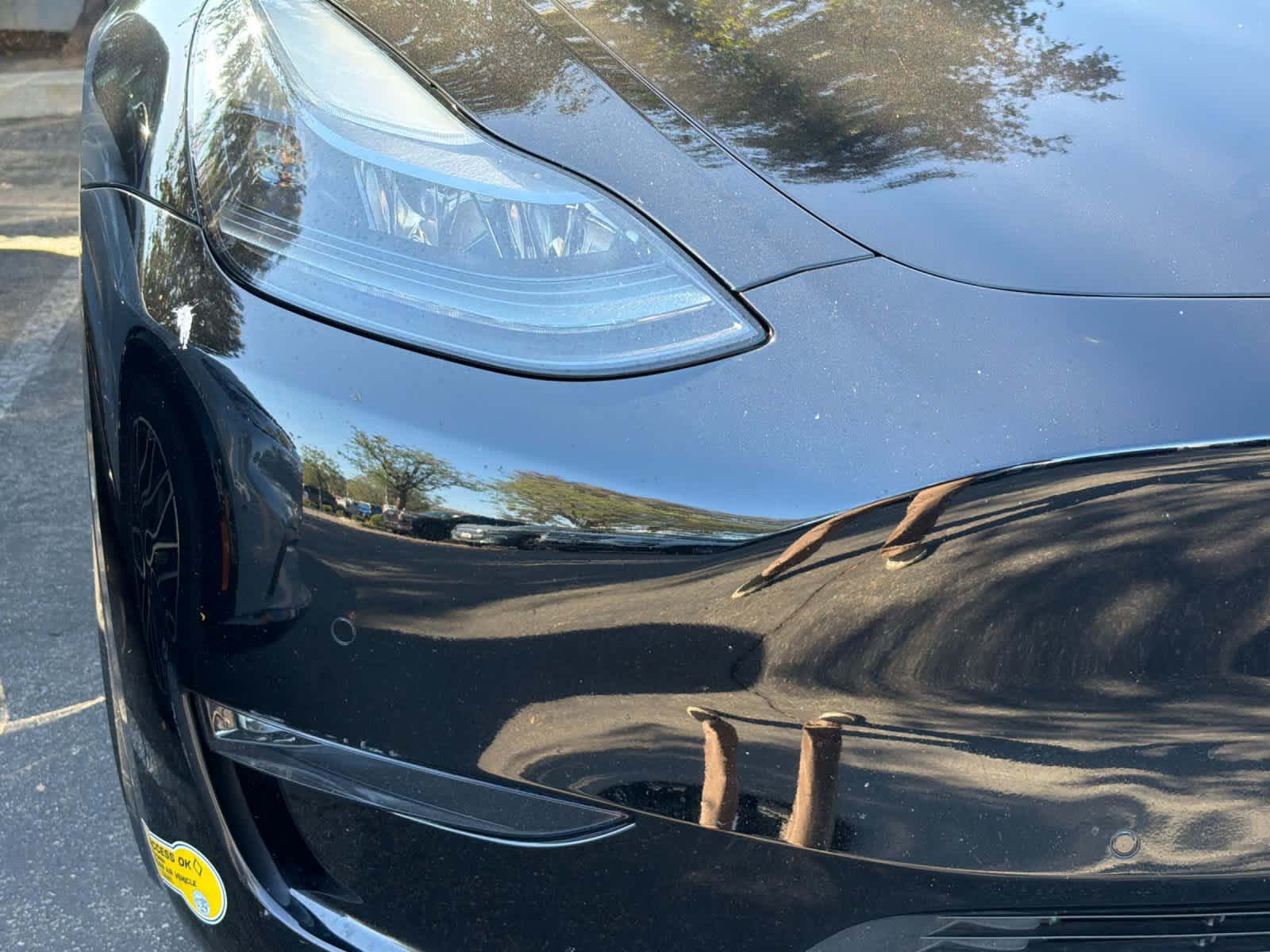 Thumbnail: 2022 Tesla Model Y - 9