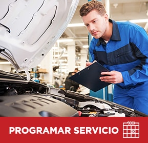 Programar servicio