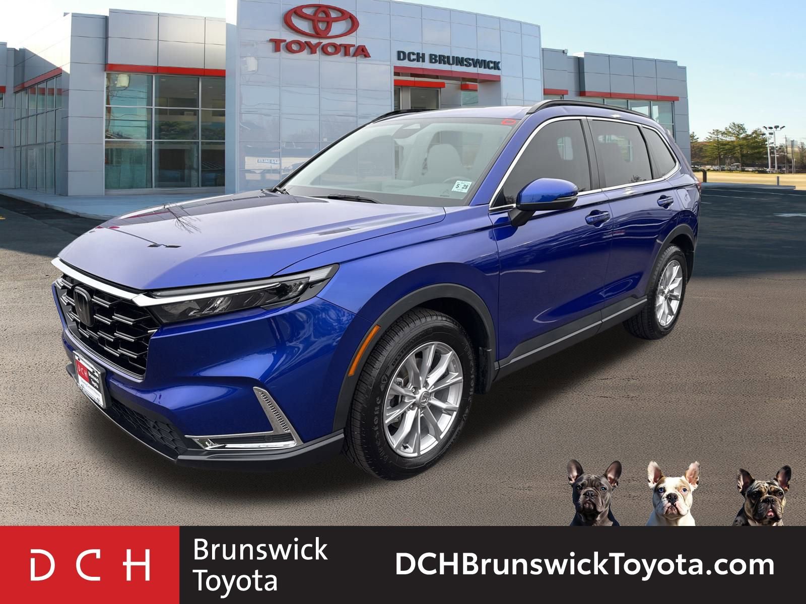 2023 Honda CR-V EX-L's photo