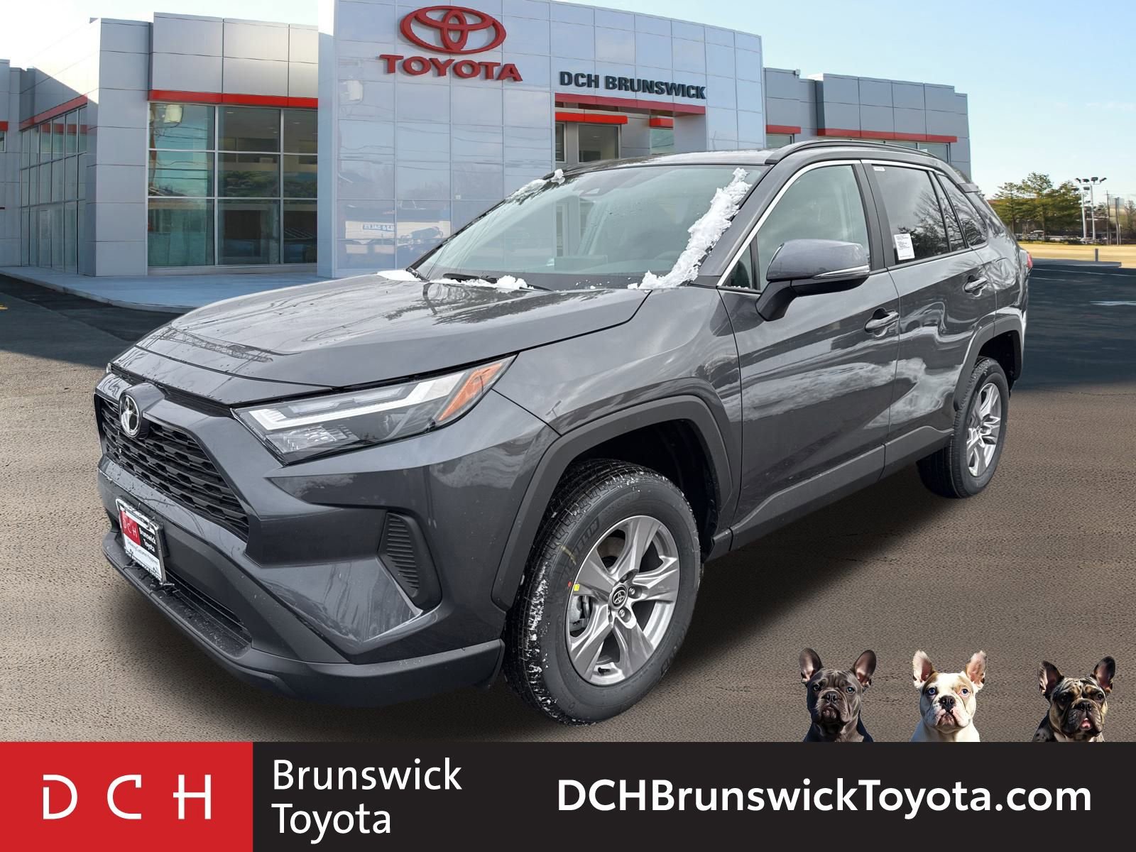 2025 Toyota RAV4 XLE's photo