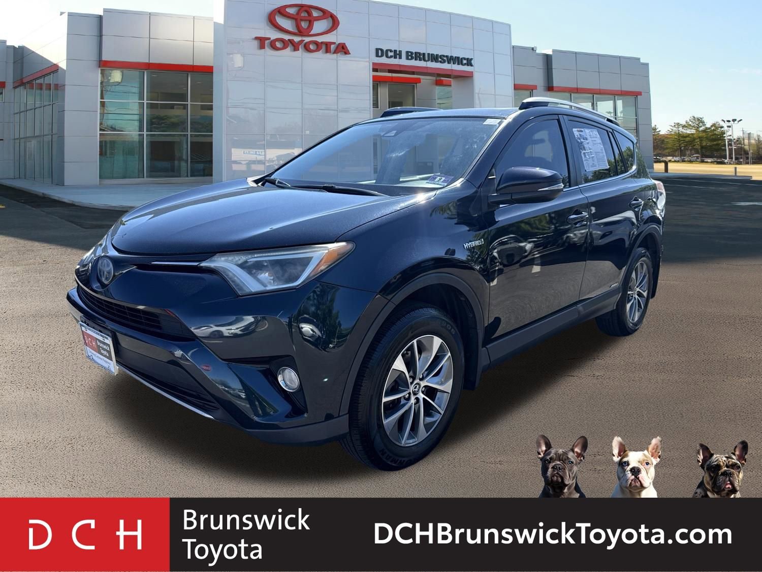 2017 Toyota RAV4 Hybrid XLE AWD's photo