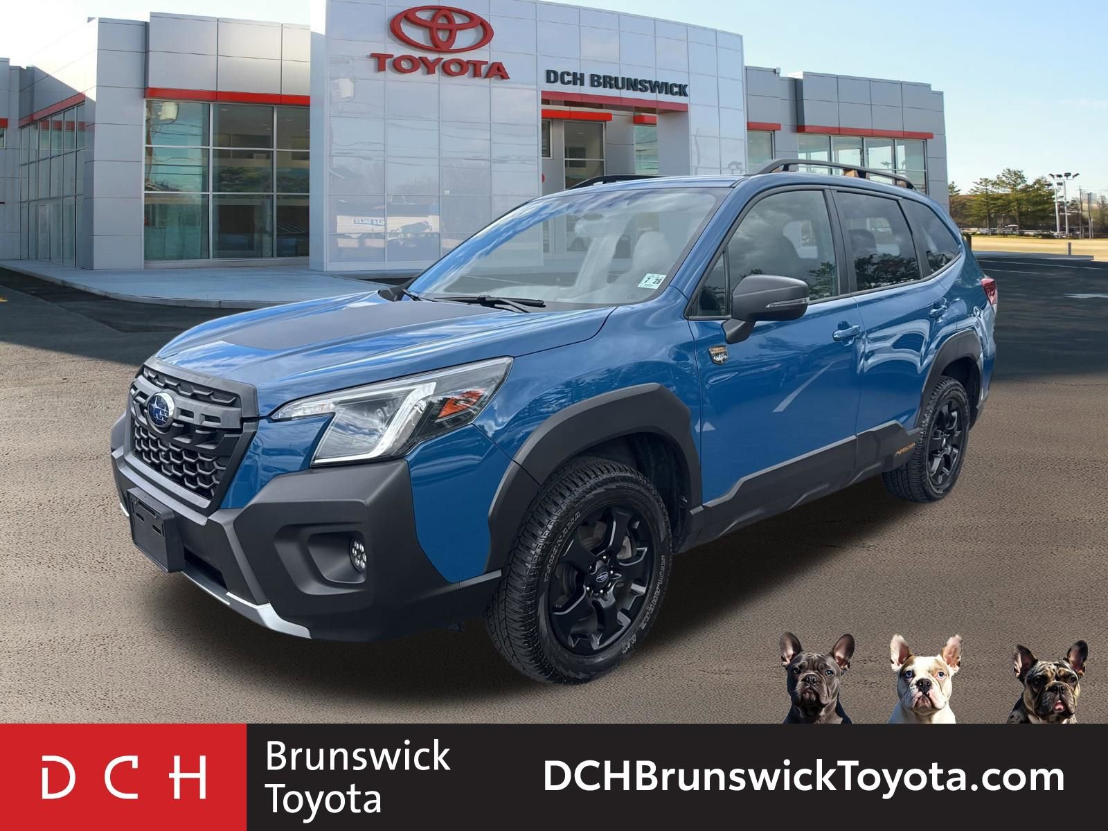 2023 Subaru Forester Wilderness's photo