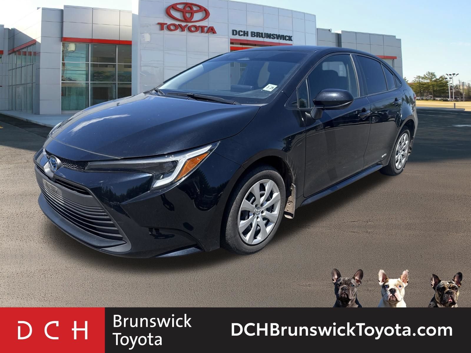 2024 Toyota Corolla LE -
                  North Brunswick Township, NJ