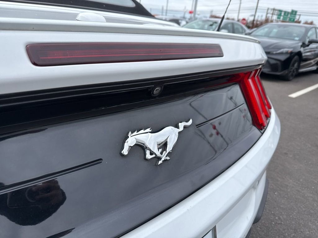 Thumbnail: 2020 Ford Mustang - 15