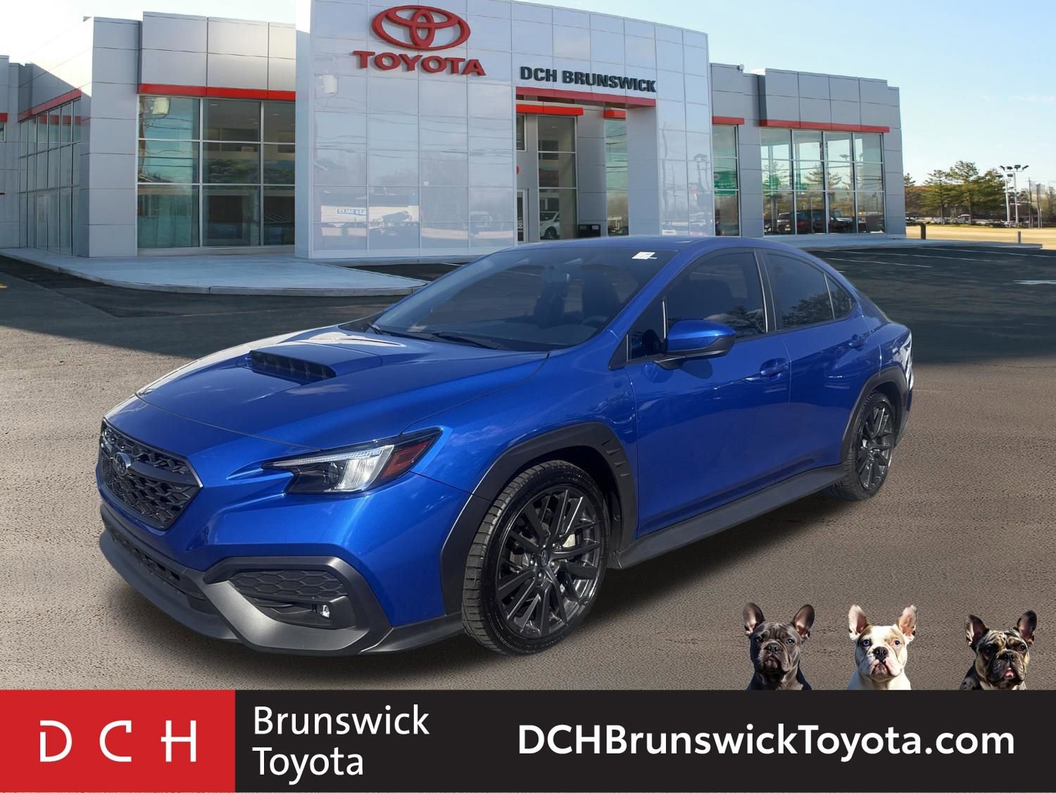 2024 Subaru WRX Premium's photo