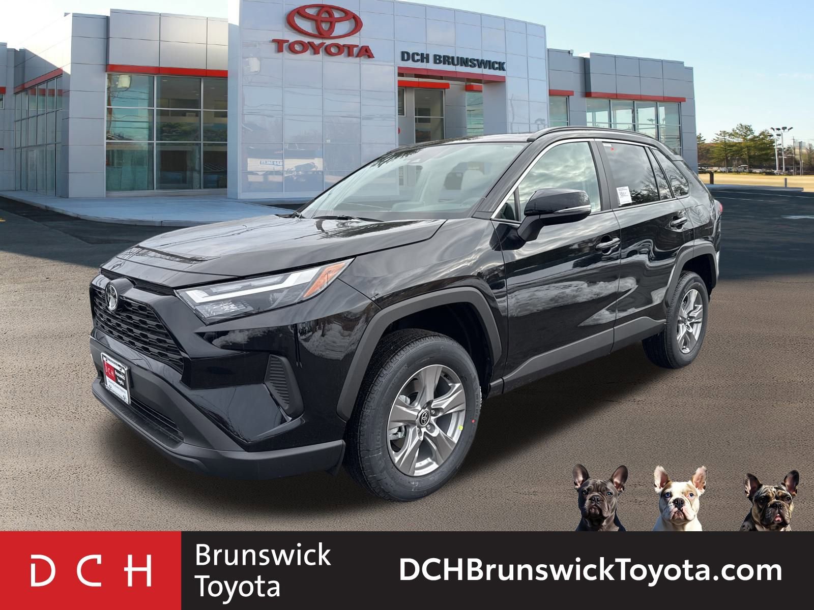 2025 Toyota RAV4 XLE's photo